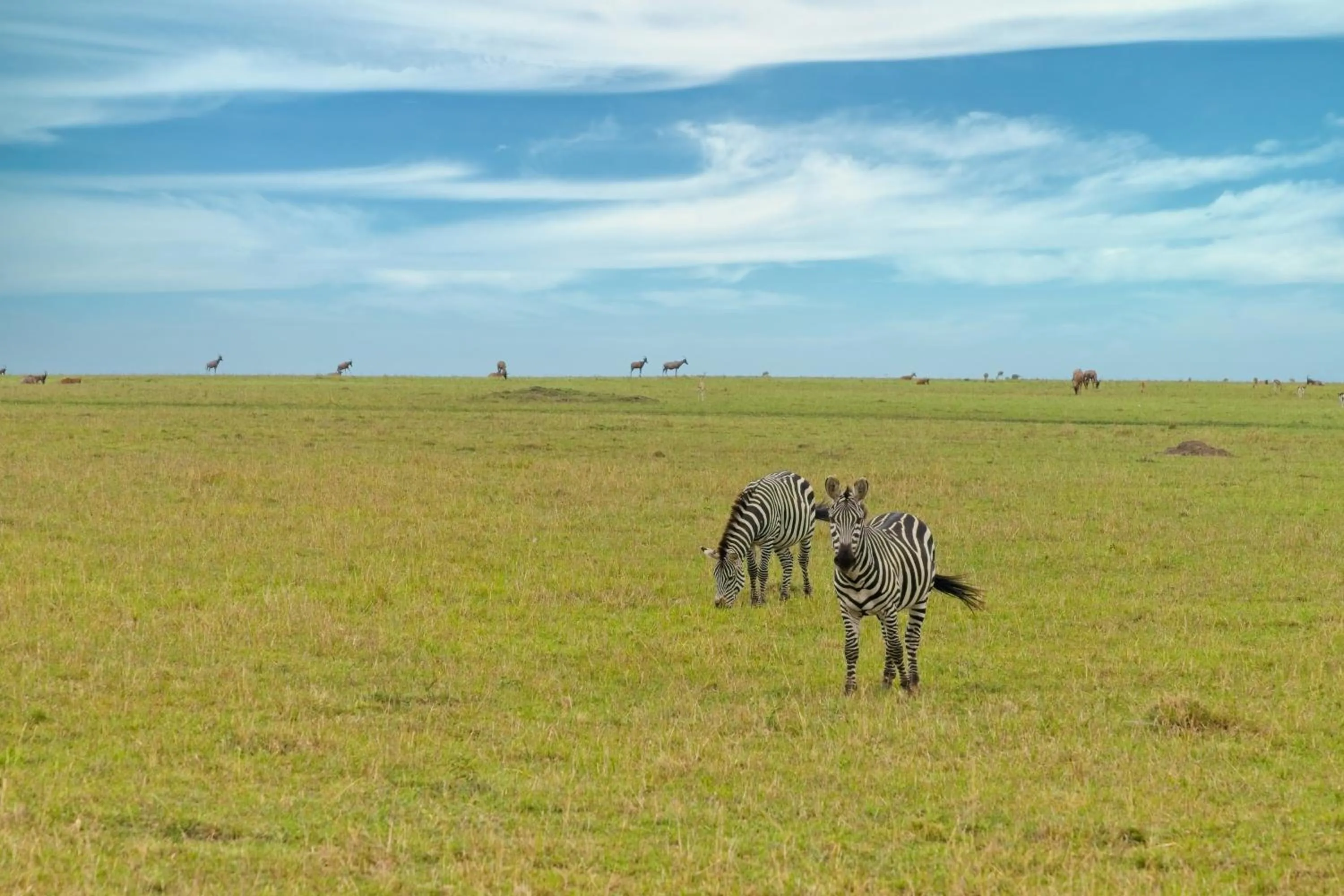 Day in Muthu Keekorok Lodge, Maasai Mara, Narok