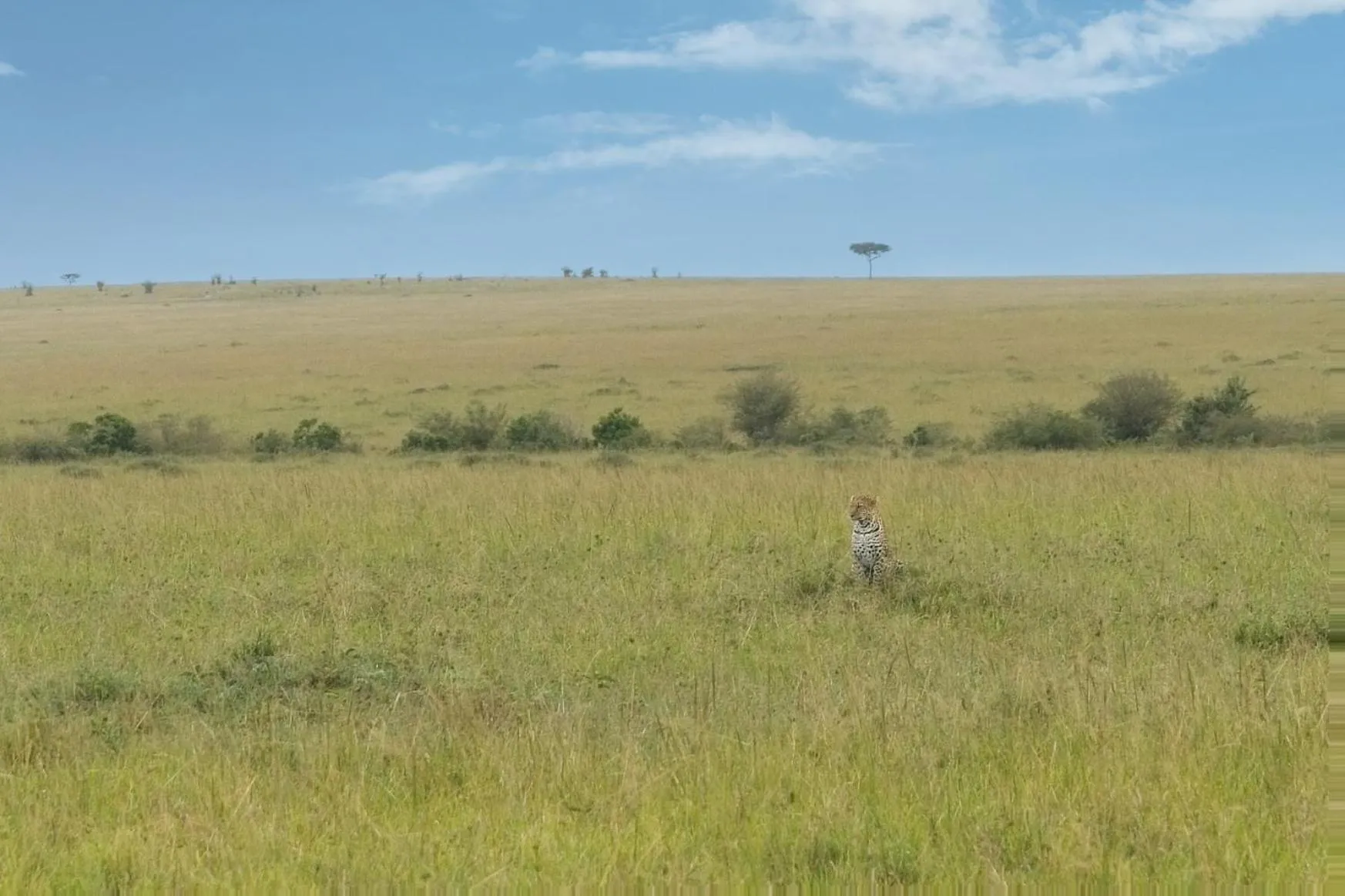 Day in Muthu Keekorok Lodge, Maasai Mara, Narok
