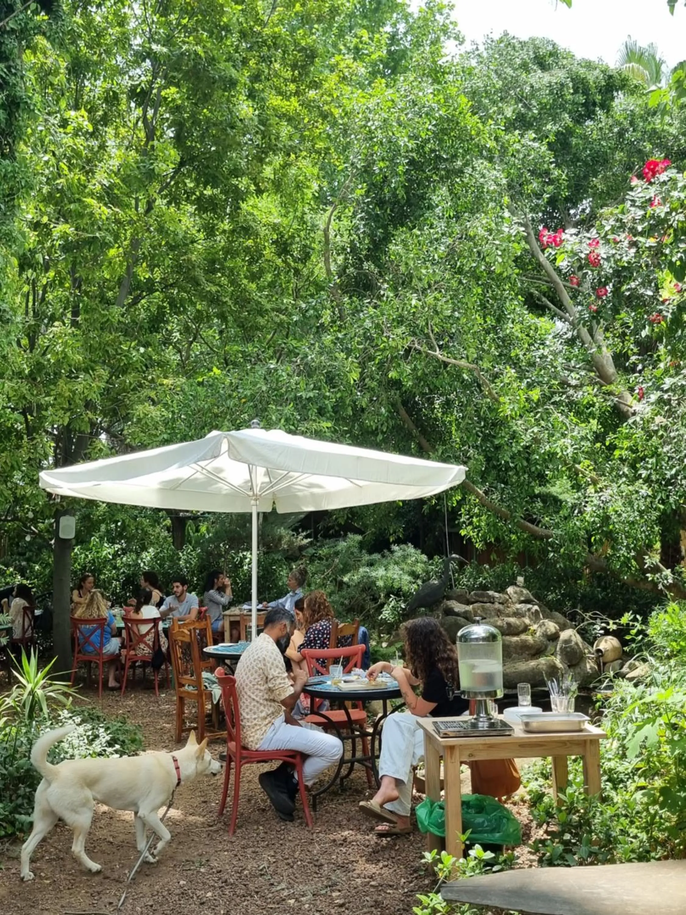 Restaurant/places to eat in Vitrage Holiday Village and Spa