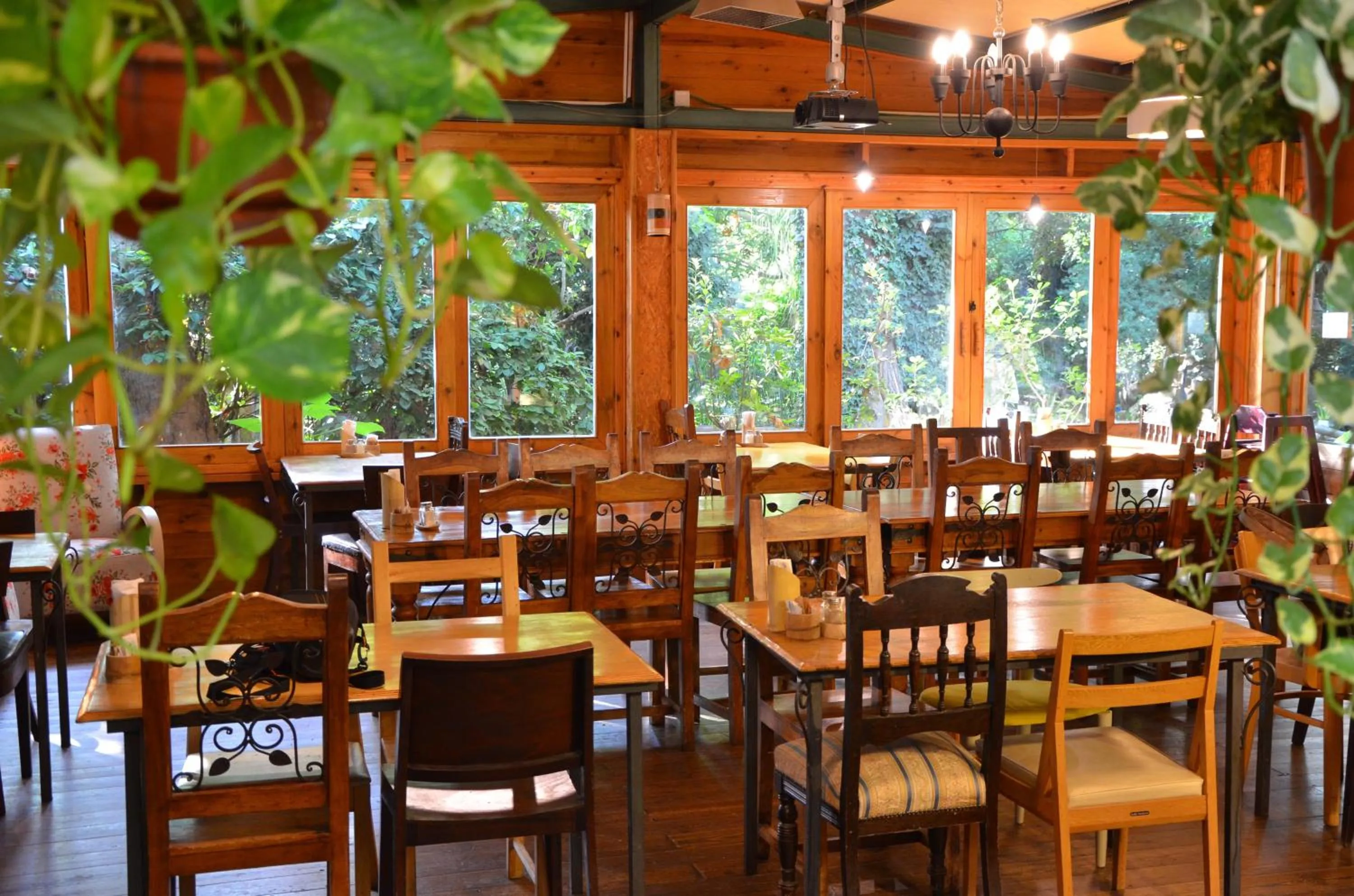 Restaurant/places to eat in Vitrage Holiday Village and Spa