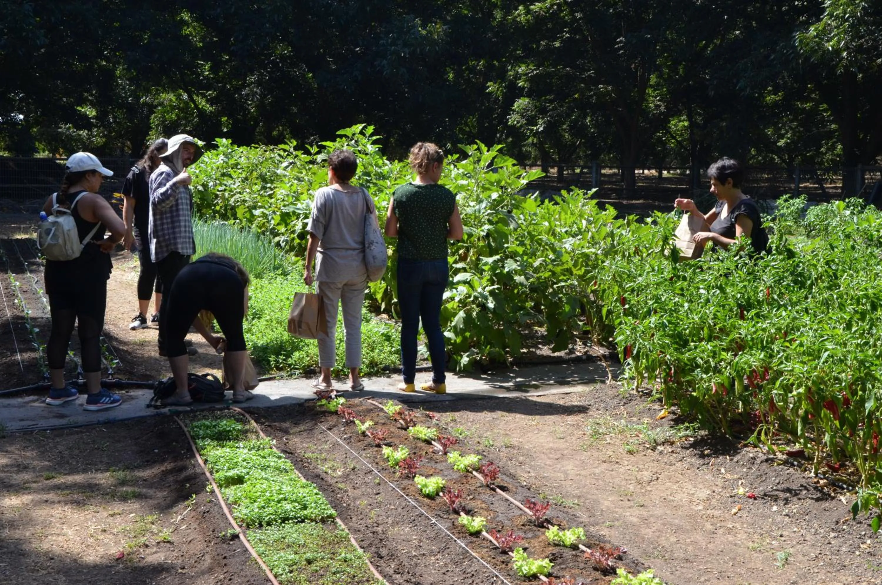 People in Vitrage Holiday Village and Spa