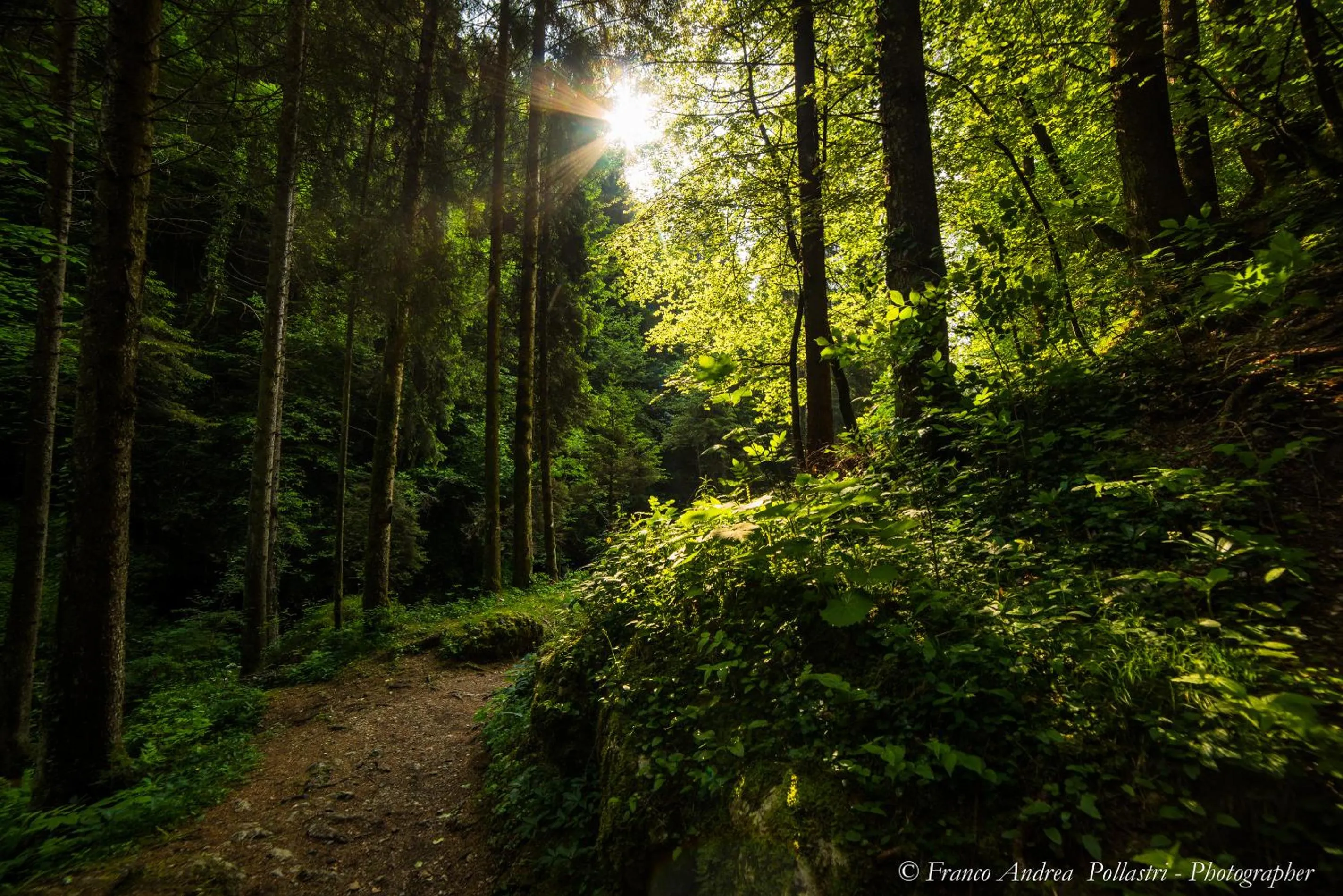 Other in CROSINA HOLIDAY - Residence Toli