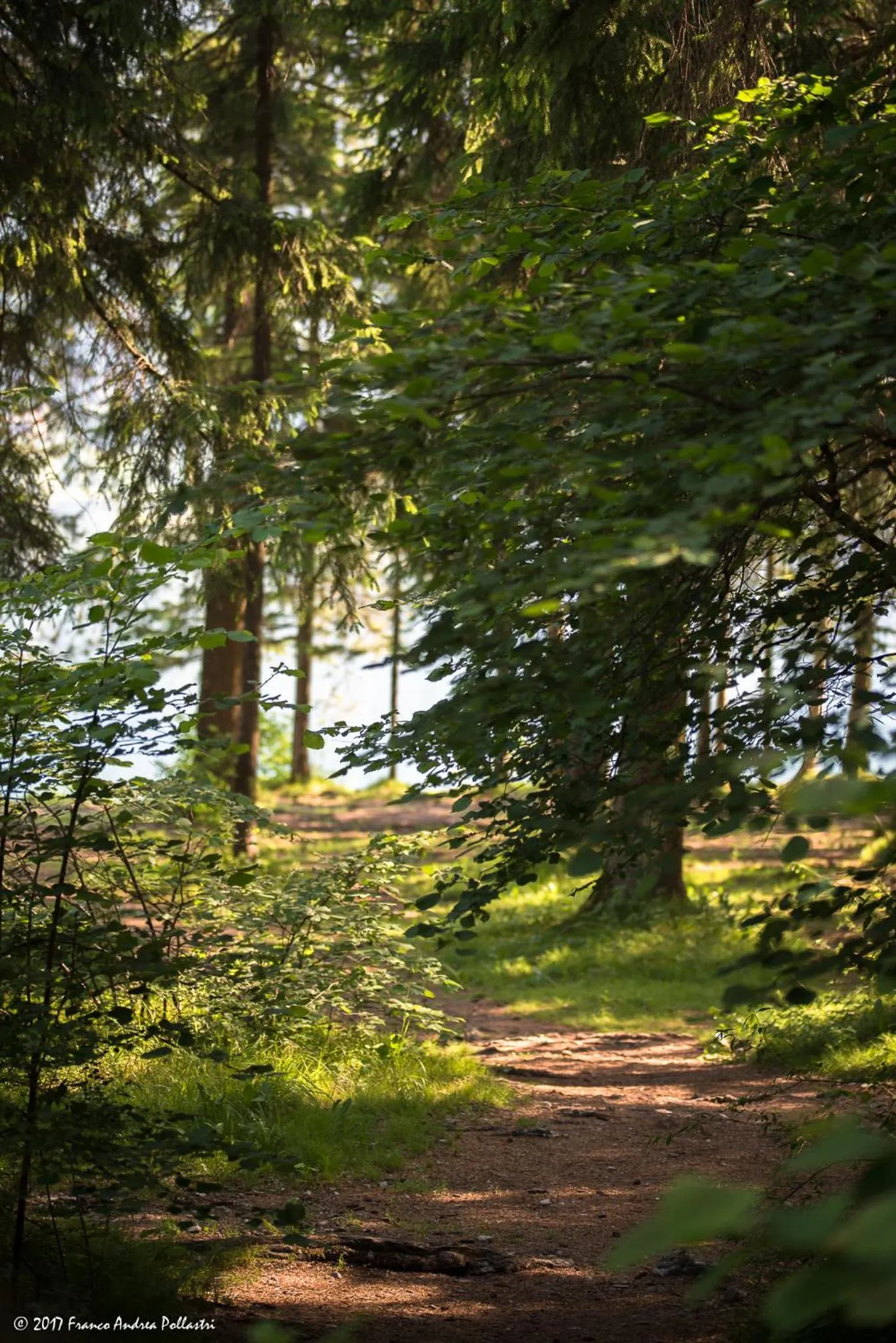 Other in CROSINA HOLIDAY - Residence Toli