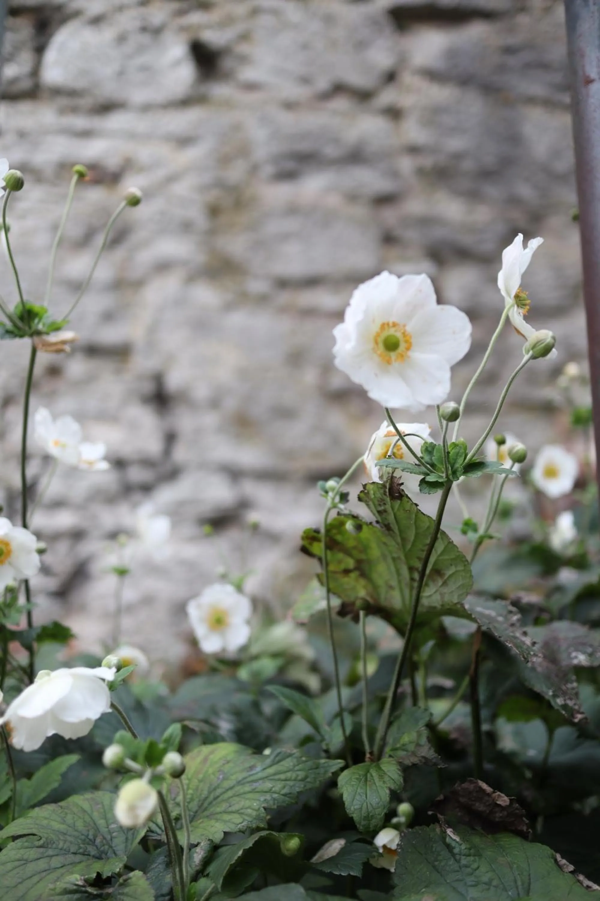 Decorative detail in Kalk Hotel