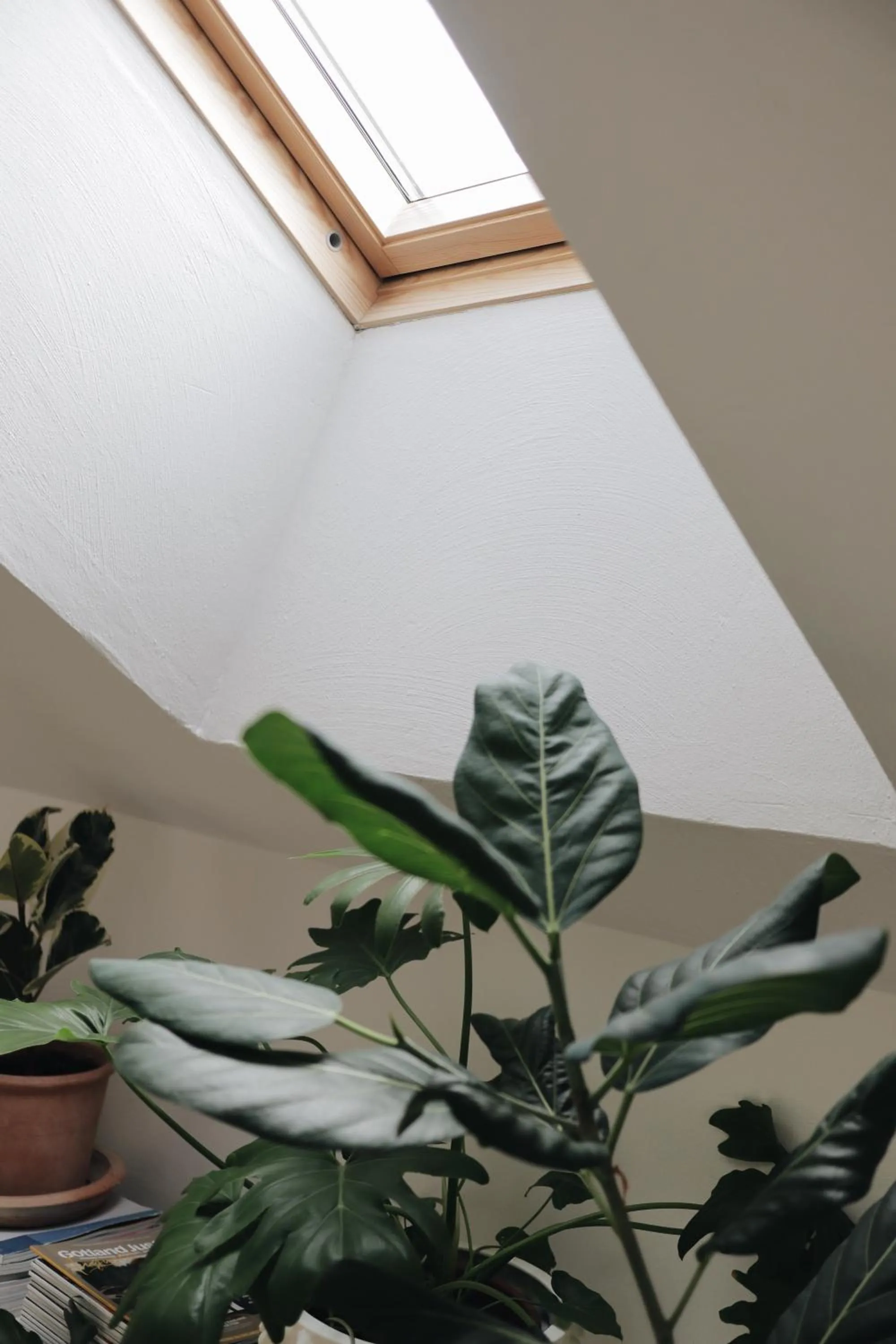 Decorative detail in Kalk Hotel