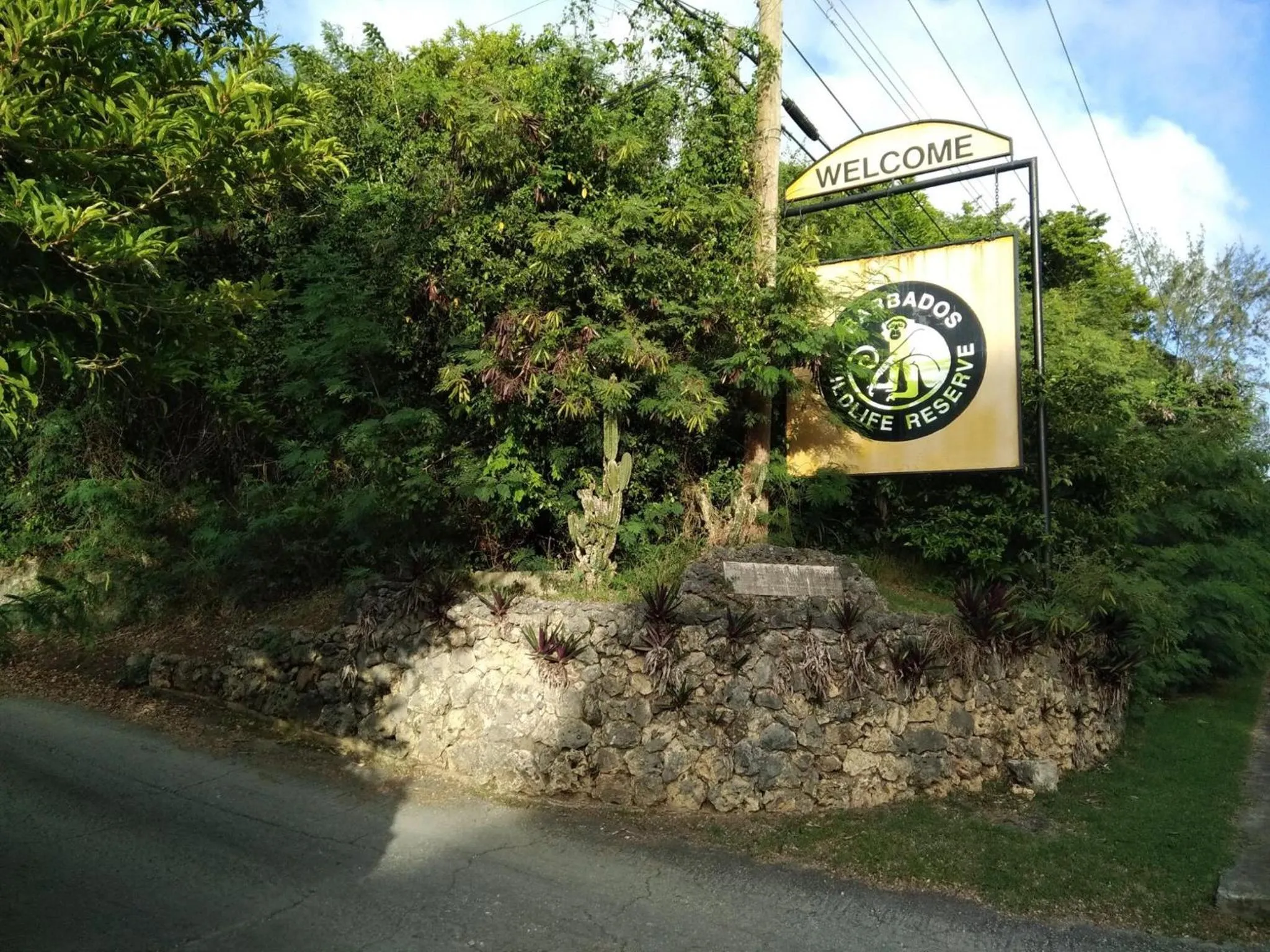 Animals in LeMarida Suites