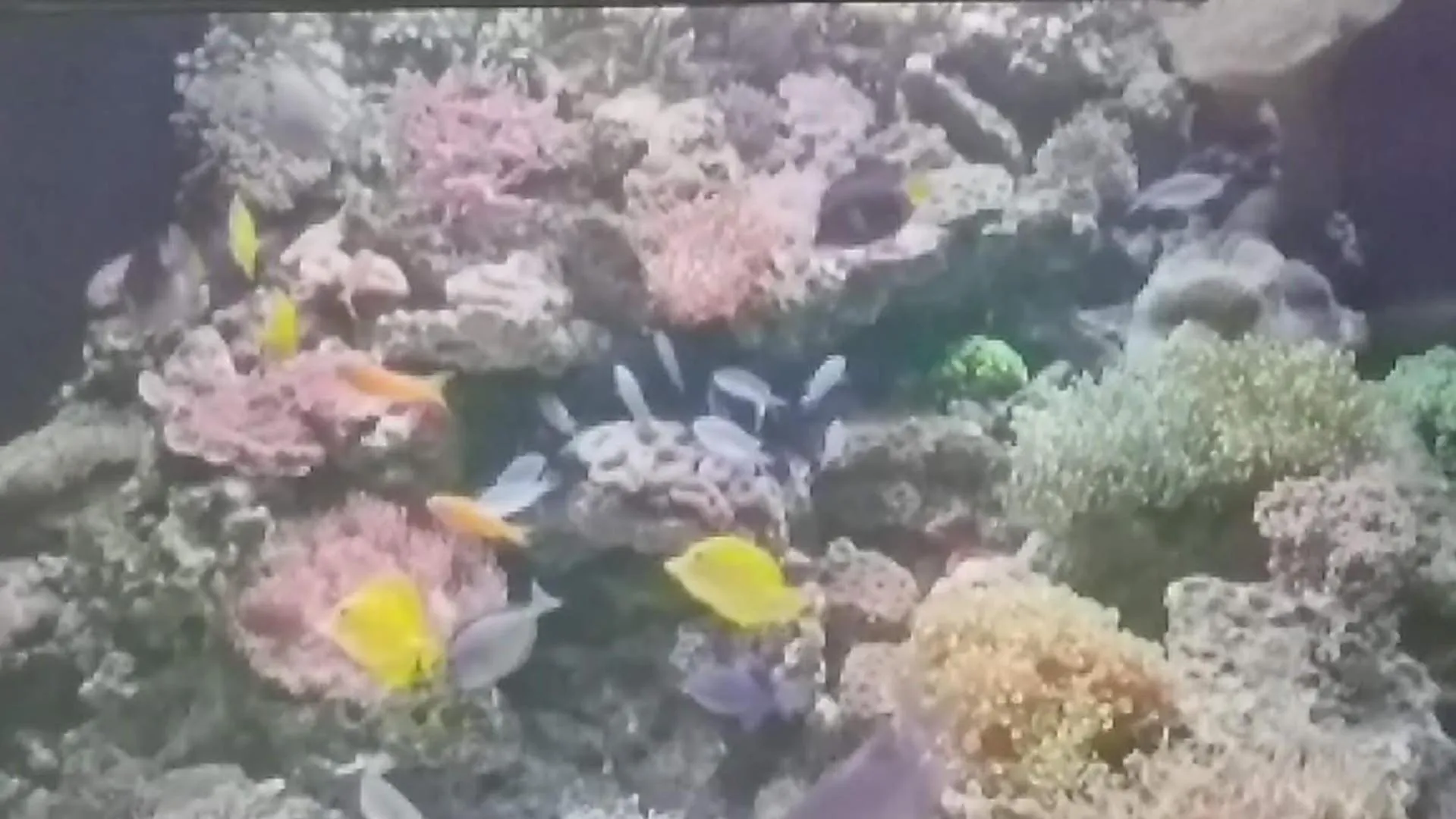 Decorative detail in LeMarida Suites