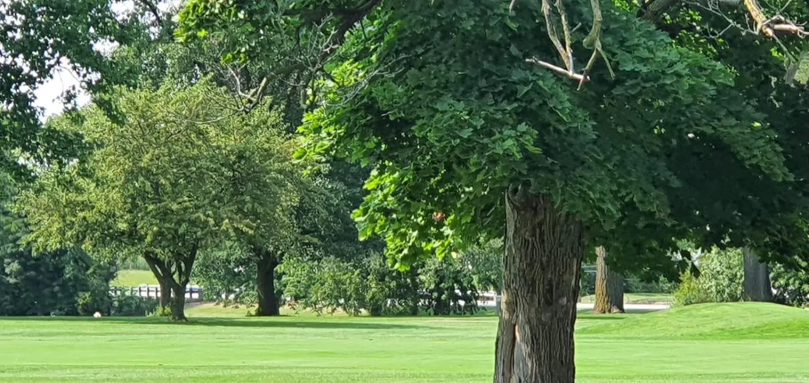 Nearby landmark in Country Club Inn & Suites