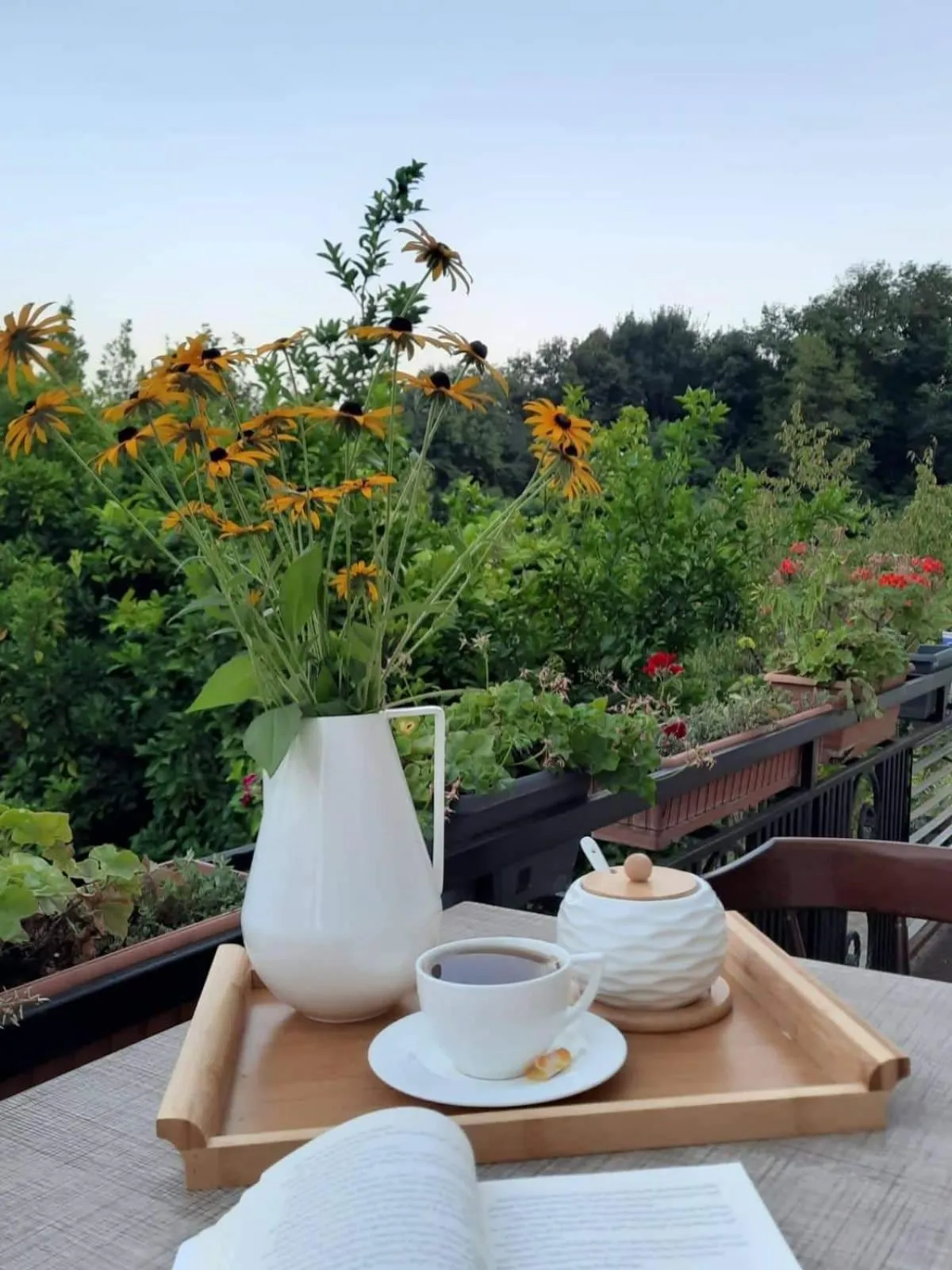 Balcony/Terrace in Guesthouse Hill Side