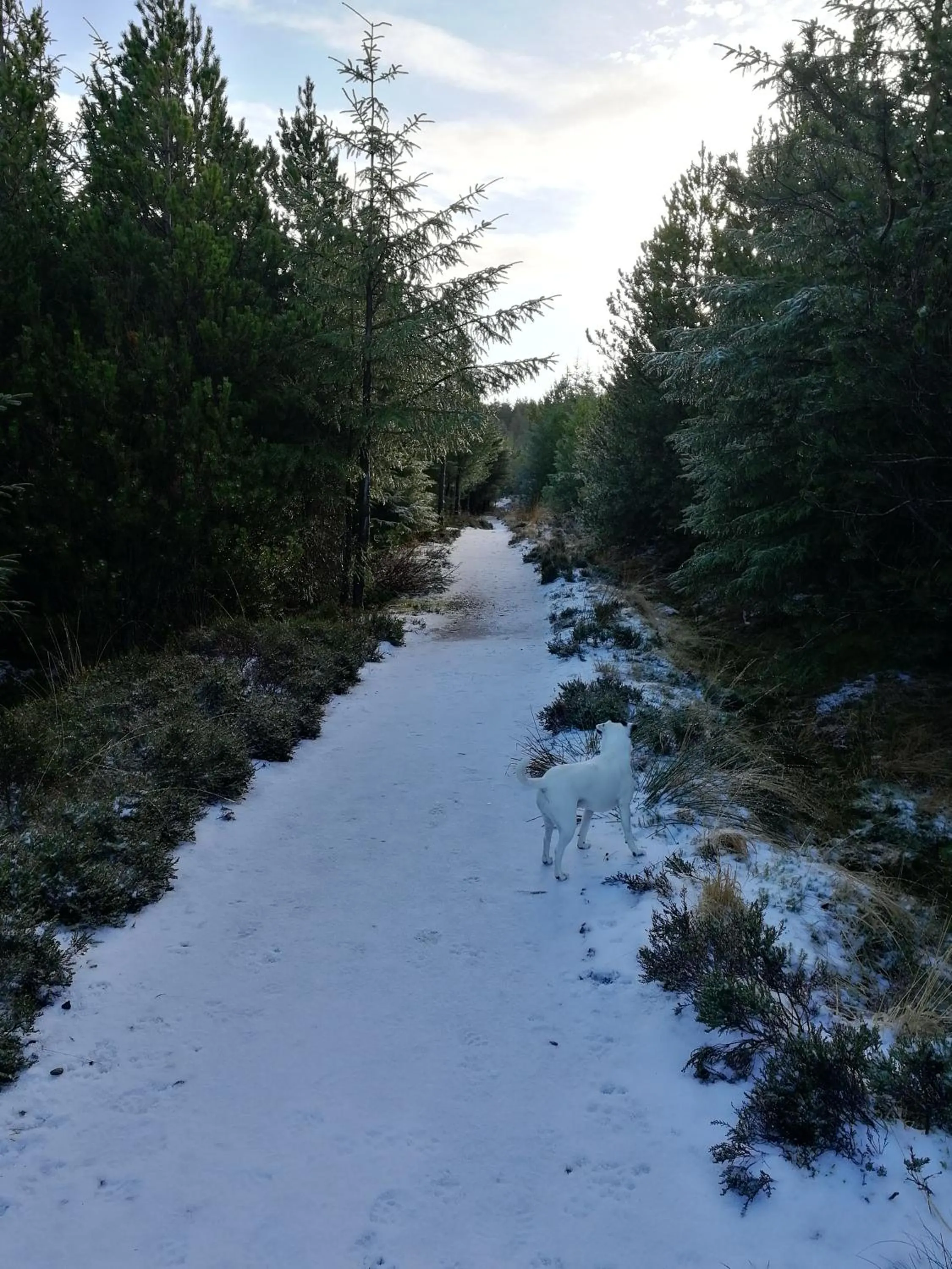 The Fisherman's Snug self catering North Uist