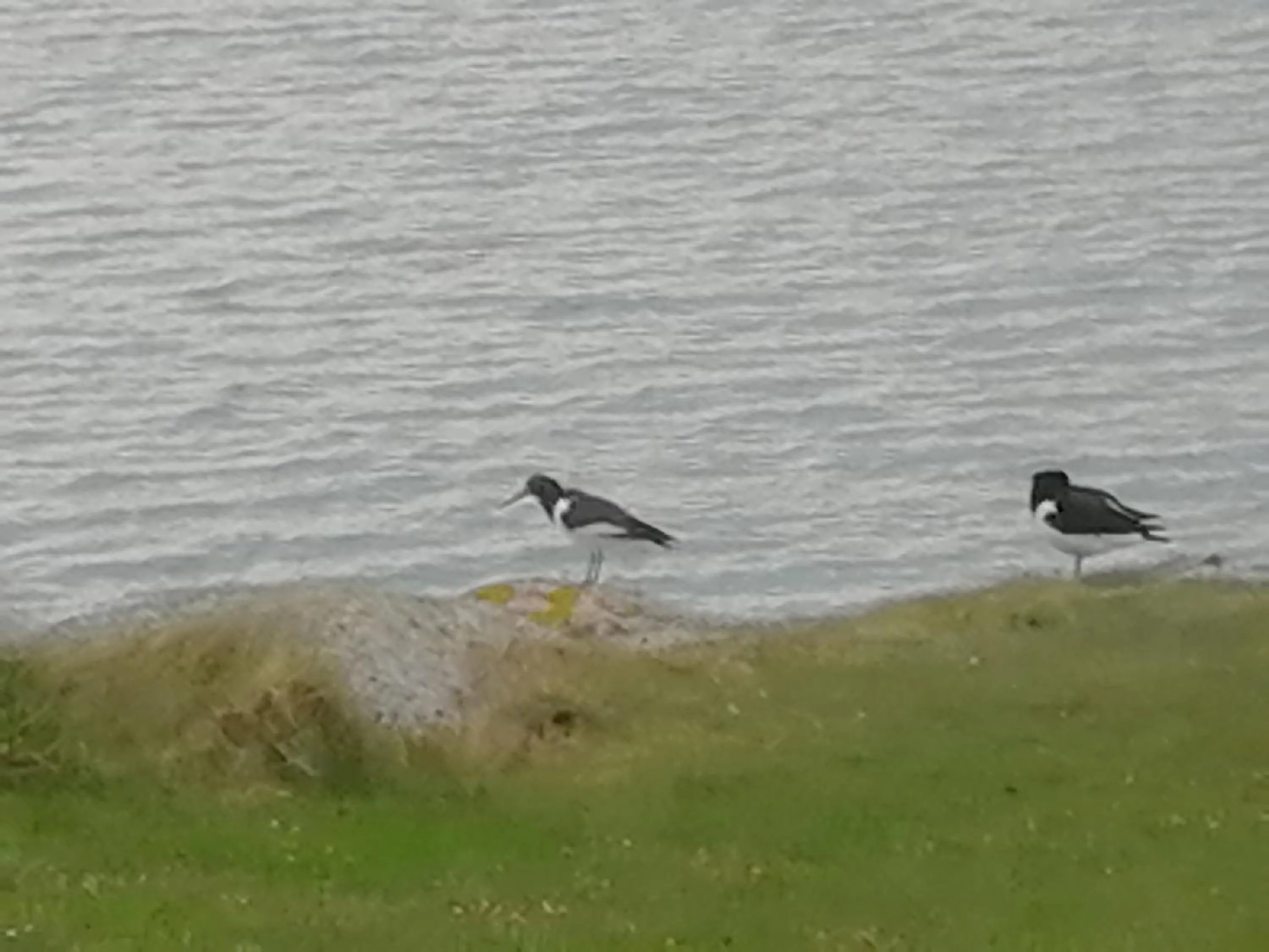 The Fisherman's Snug self catering North Uist