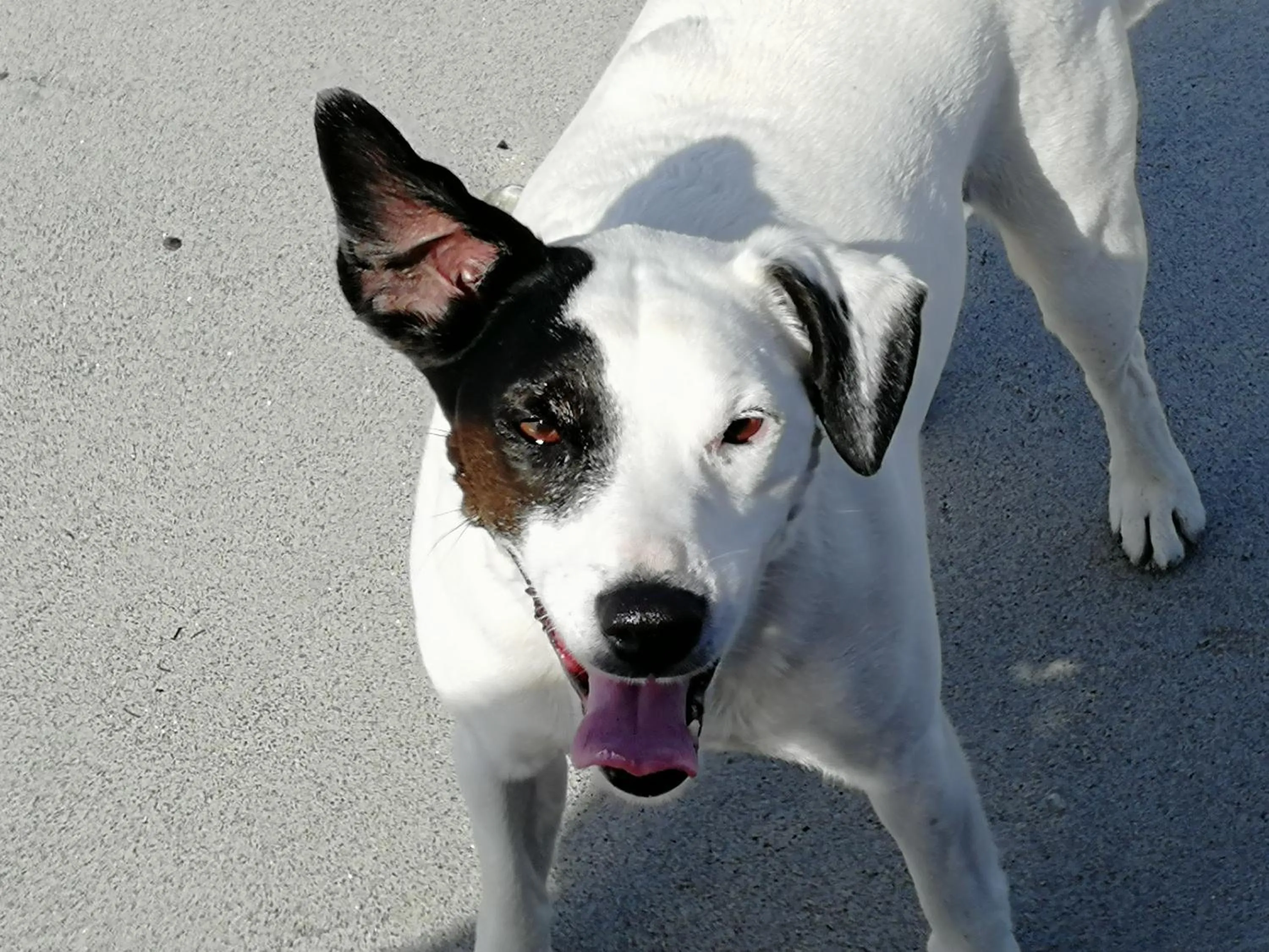 The Fisherman's Snug self catering North Uist