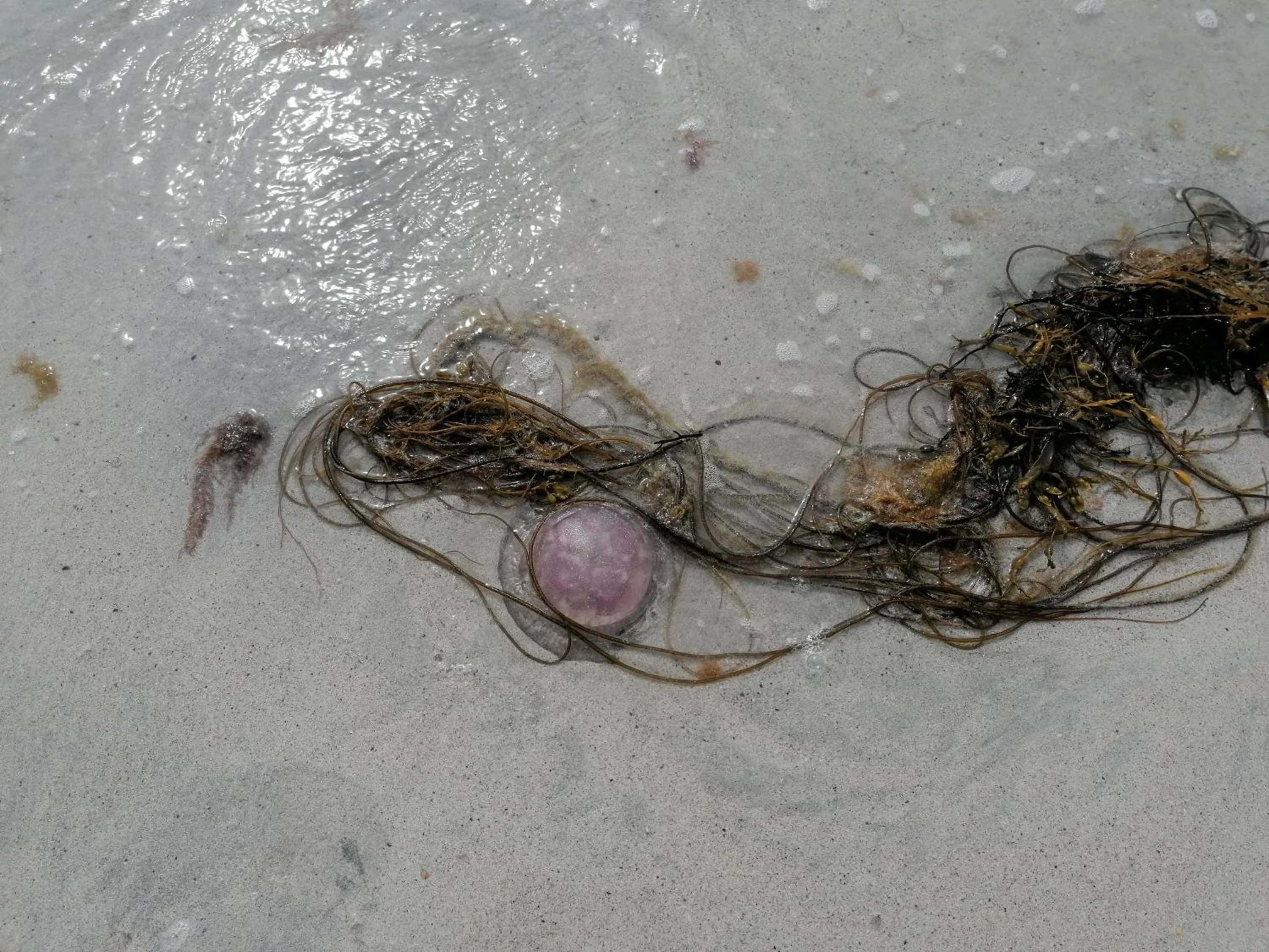 The Fisherman's Snug self catering North Uist