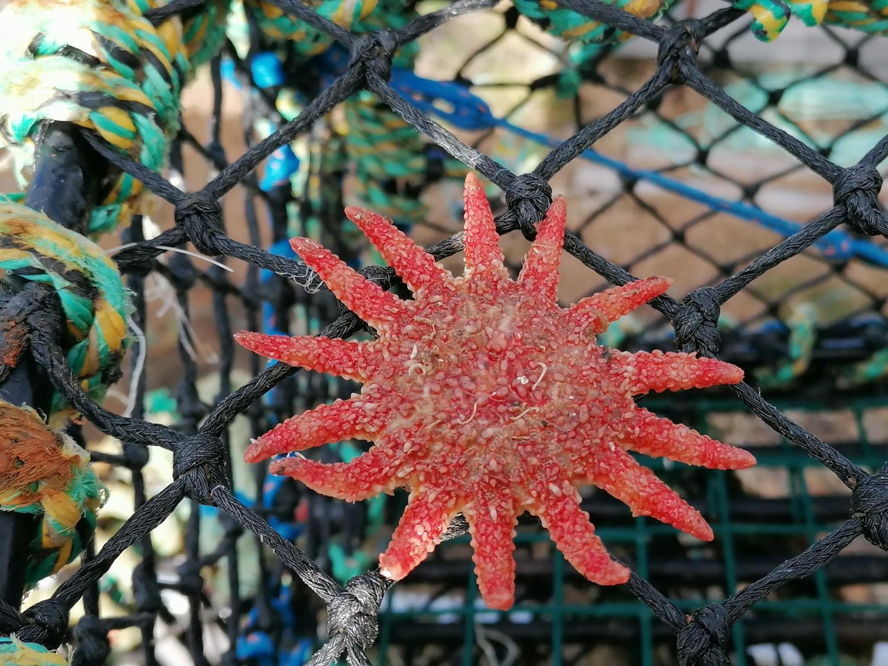 The Fisherman's Snug self catering North Uist