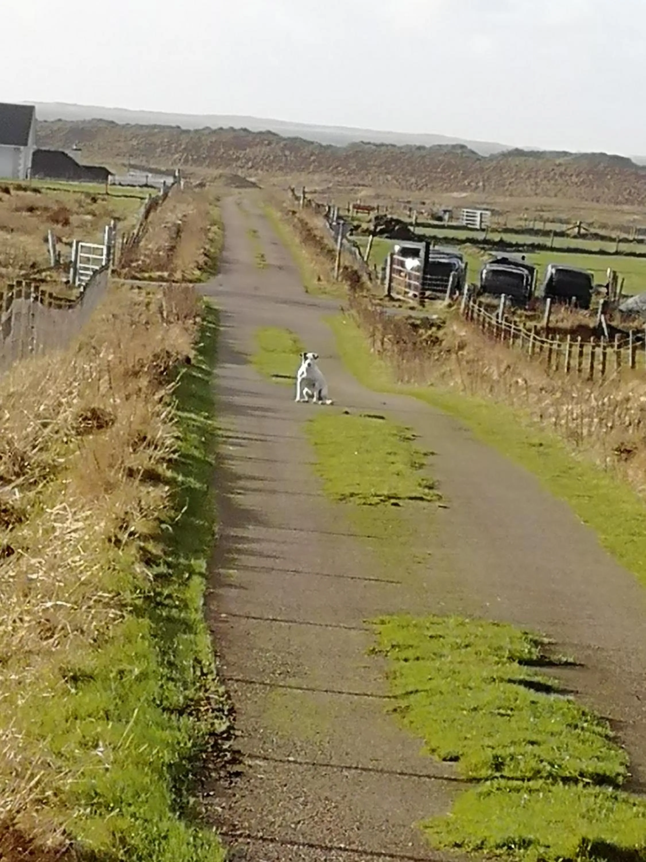 The Fisherman's Snug self catering North Uist