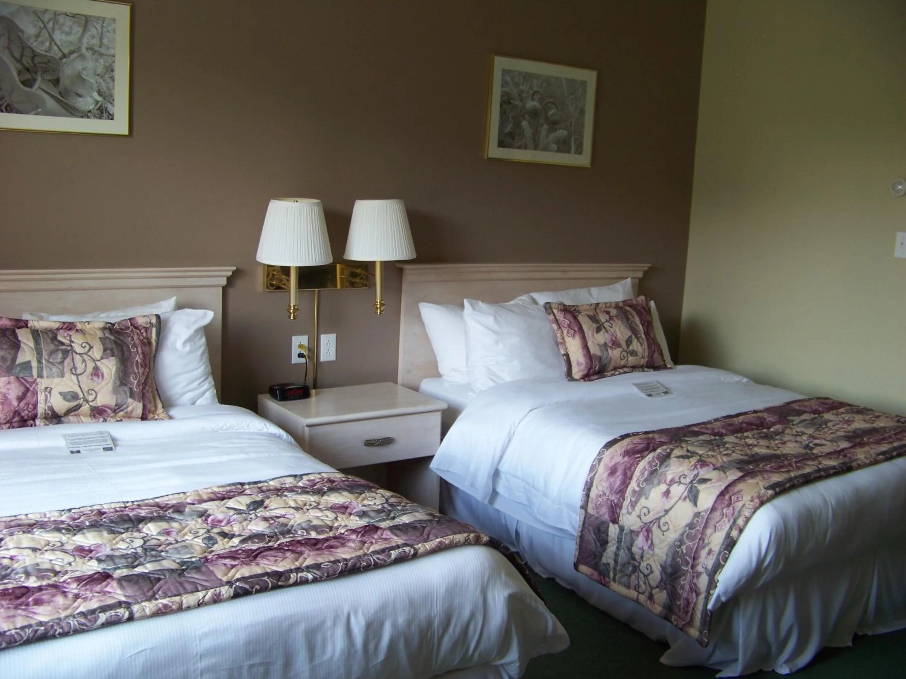 Photo of the whole room in Ocean View Hotel