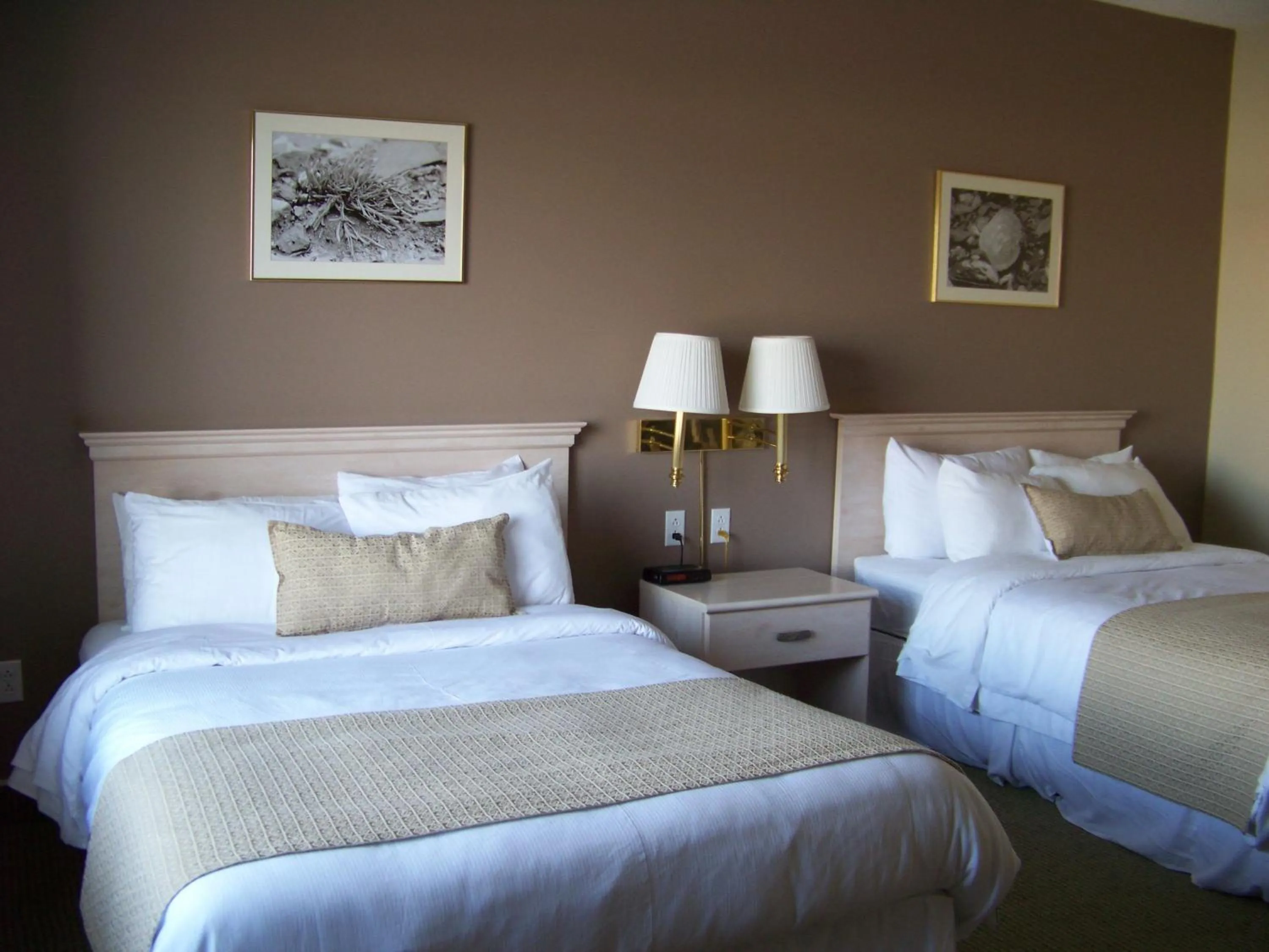 Bed in Ocean View Hotel