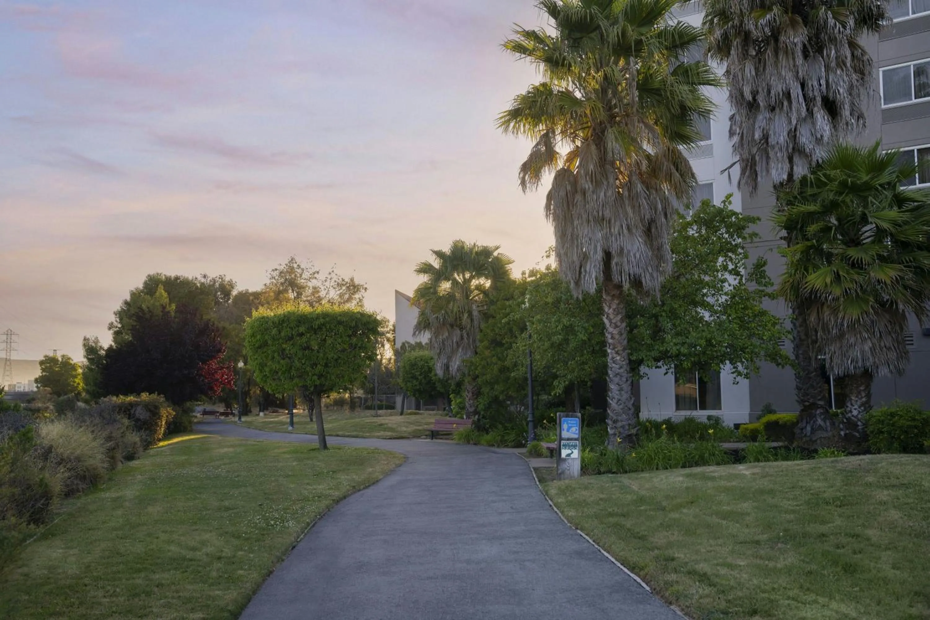 View (from property/room) in The Bayshore Hotel San Francisco Airport - Burlingame