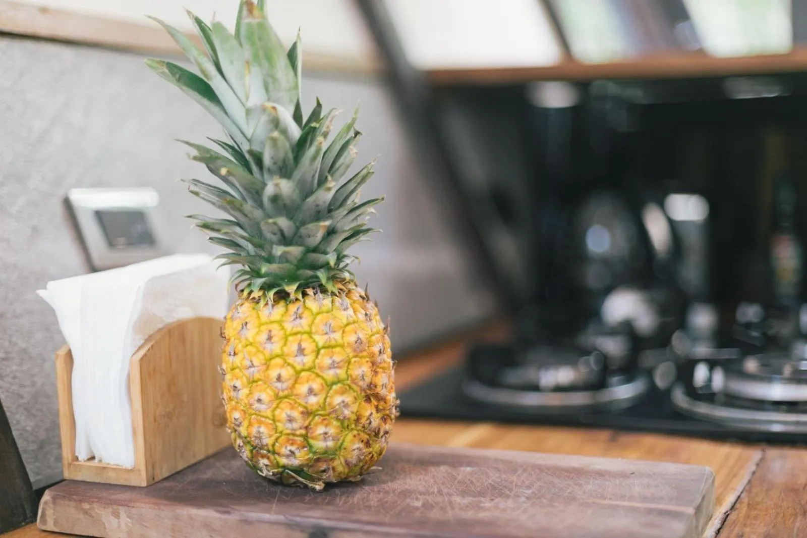 Nahouse Jungle Lodges