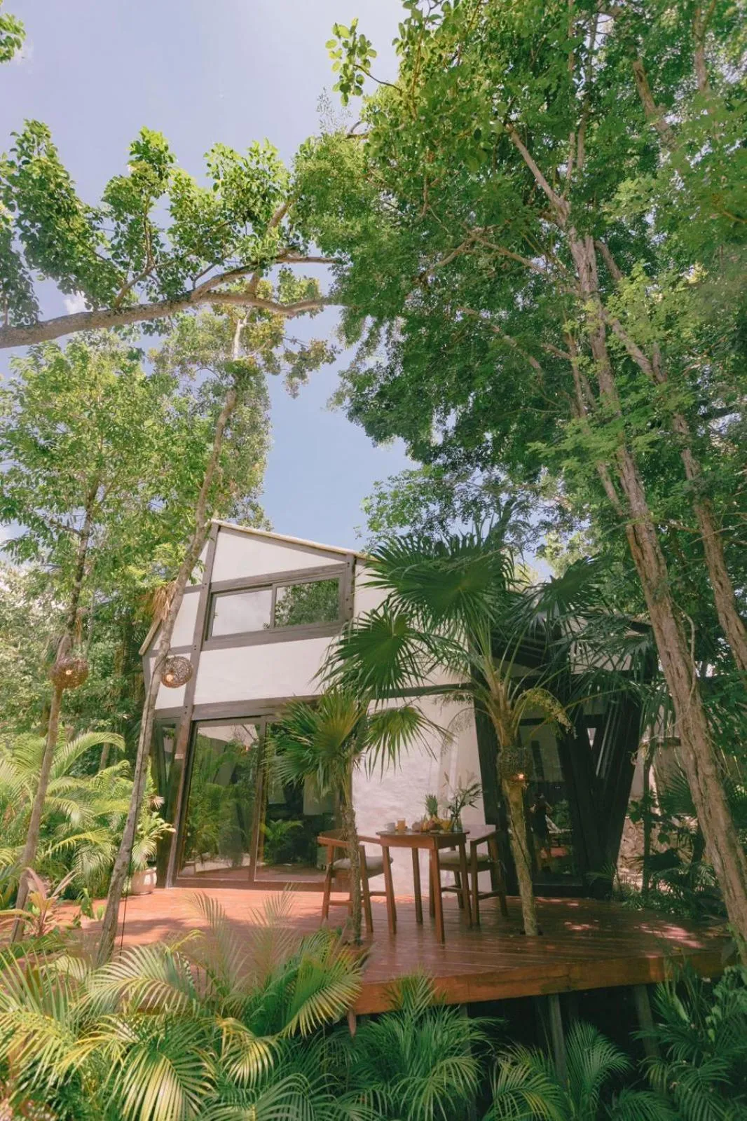 Nahouse Jungle Lodges