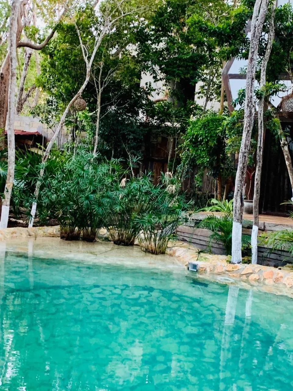 Pool view in Nahouse Jungle Lodges