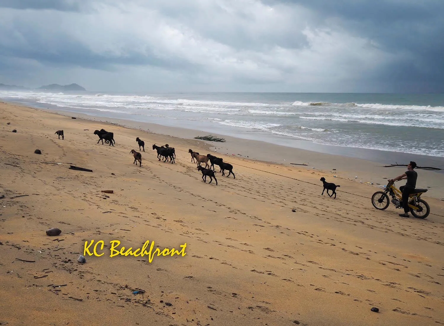 KC Beachfront