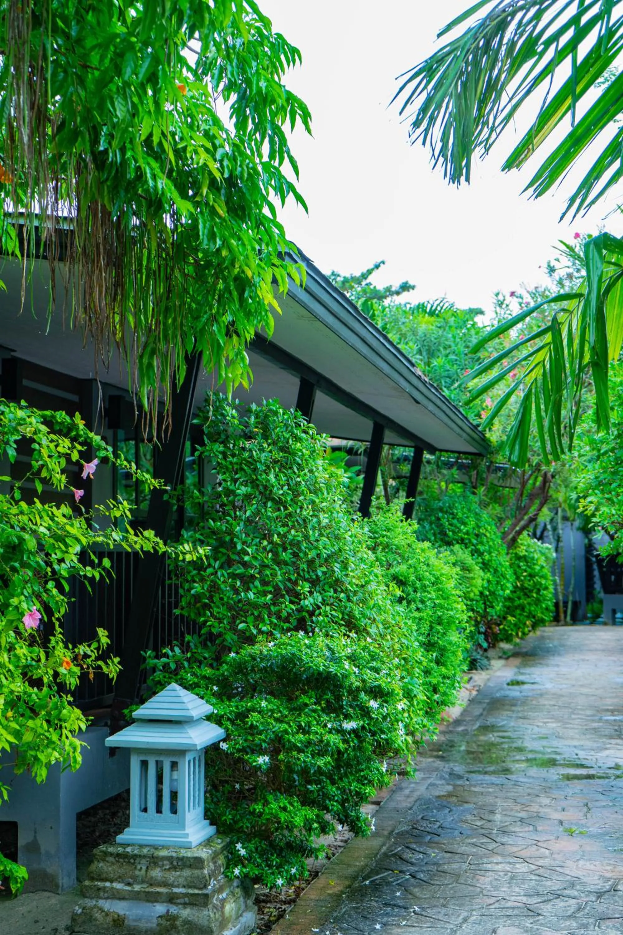 Garden in Ibiza House Phi Phi