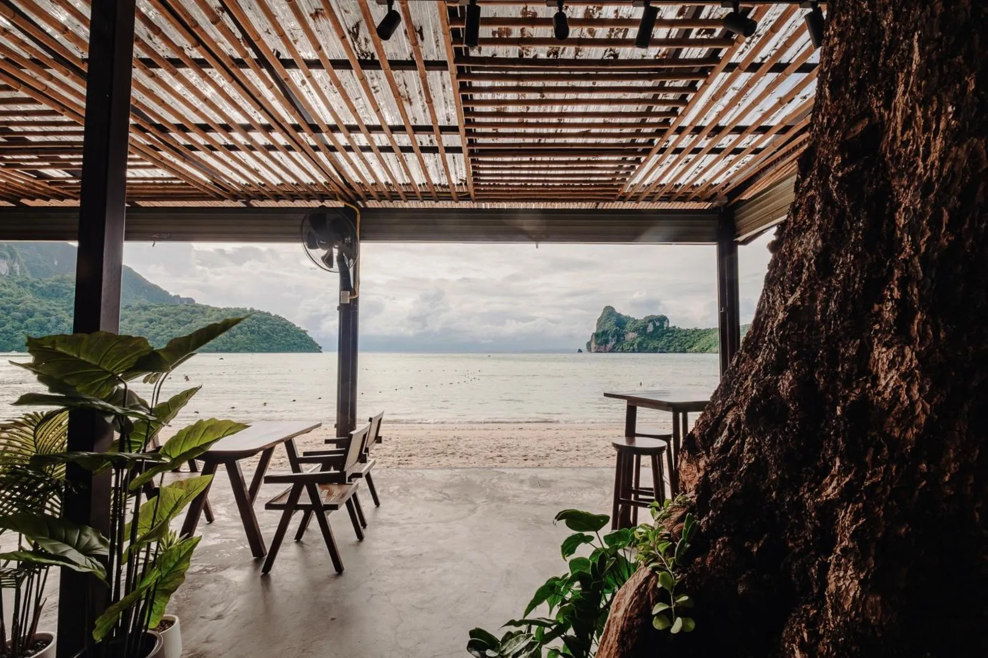 Restaurant/places to eat in Ibiza House Phi Phi