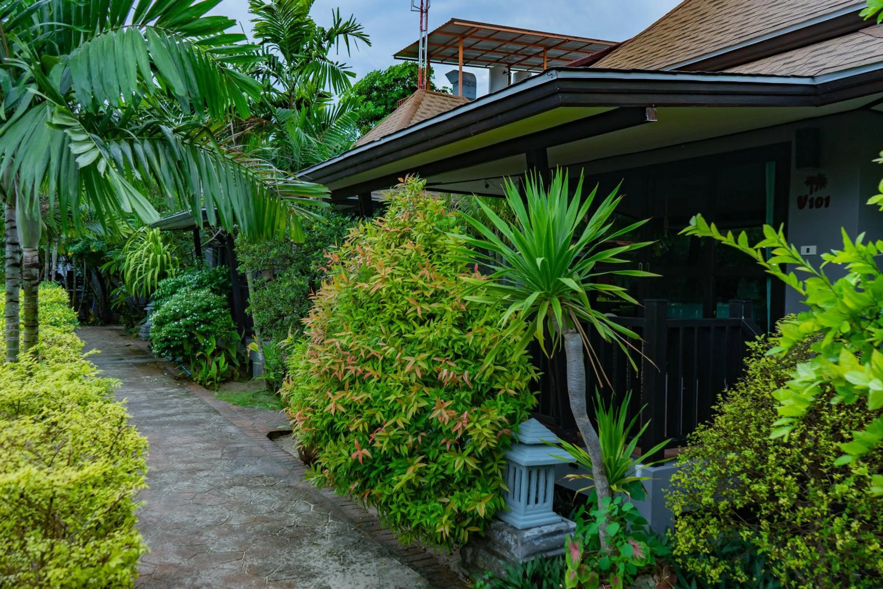 Garden in Ibiza House Phi Phi