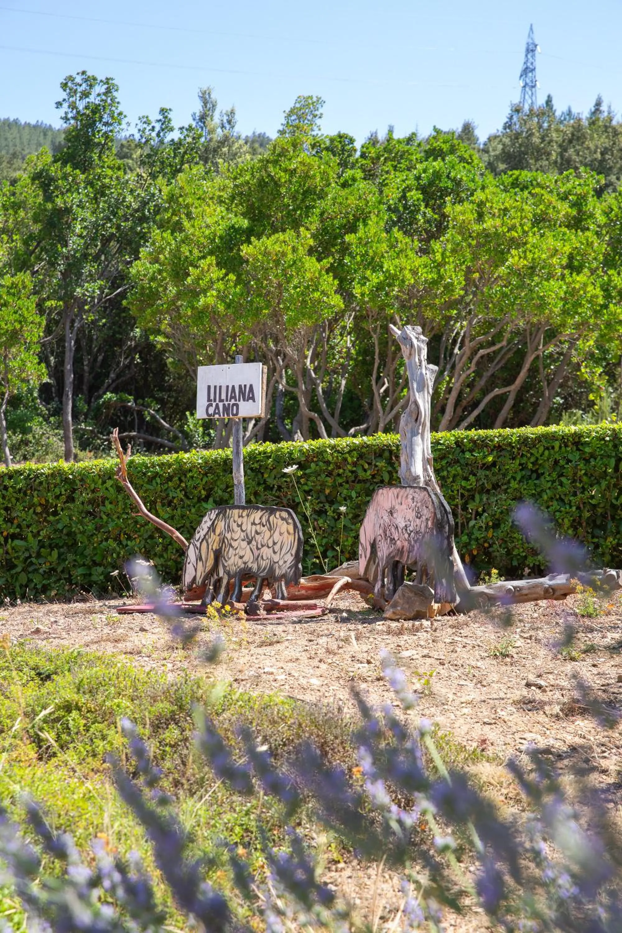 Garden in HOTEL ORLANDO Sardegna