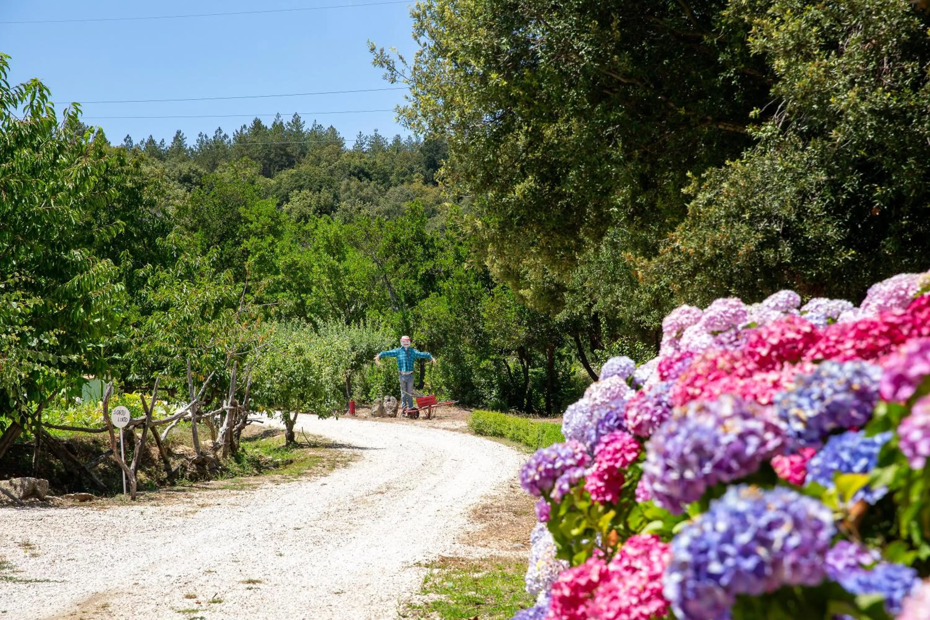 Garden in HOTEL ORLANDO Sardegna