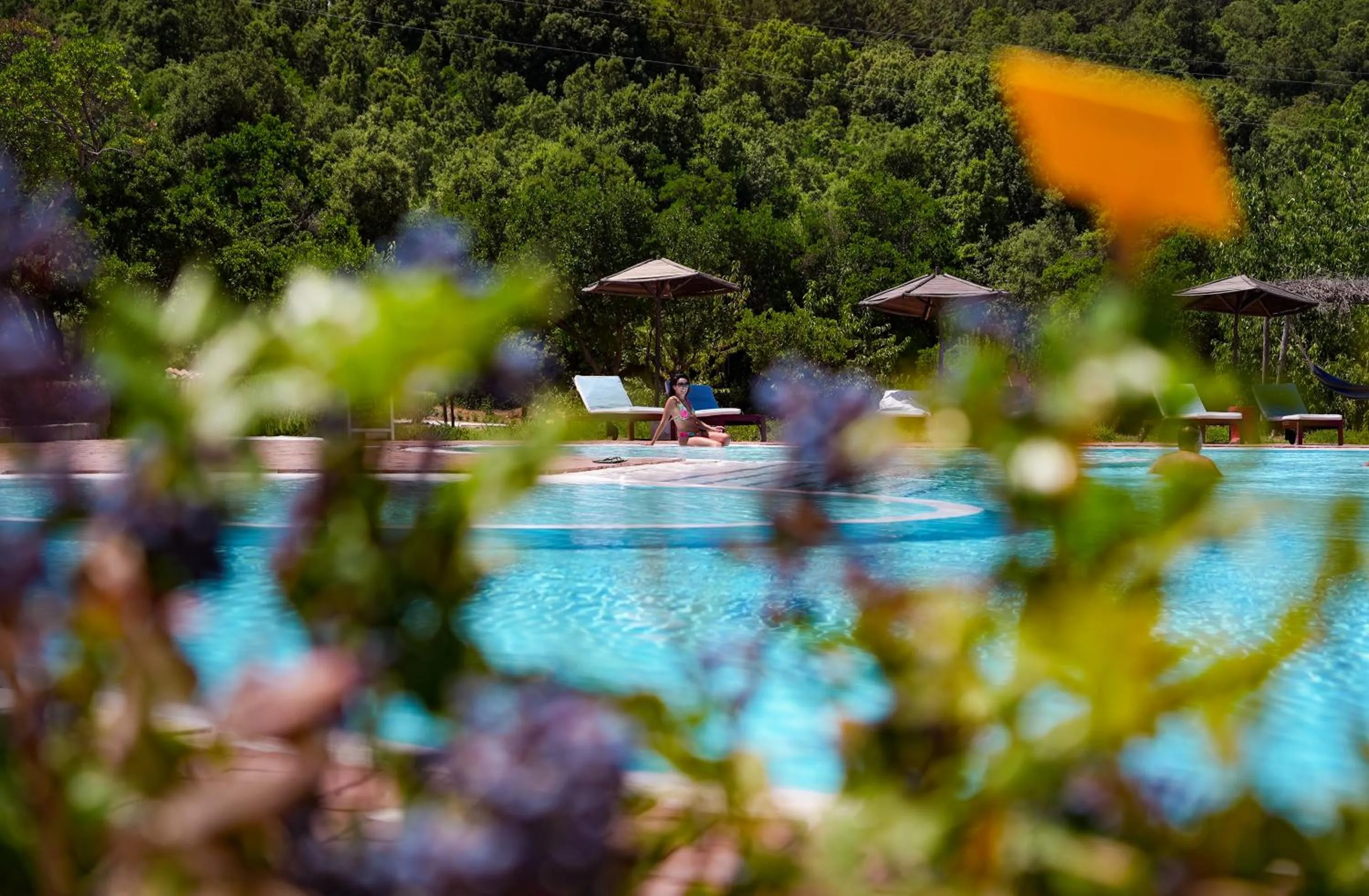 Swimming pool in HOTEL ORLANDO Sardegna