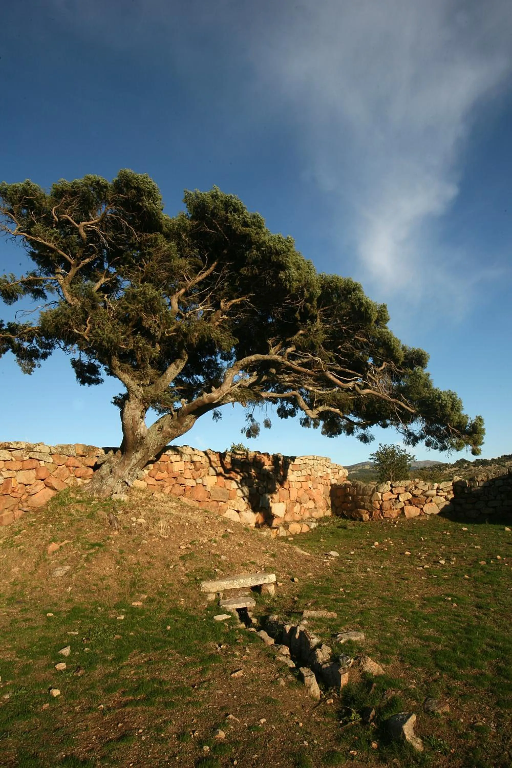 View (from property/room) in HOTEL ORLANDO Sardegna
