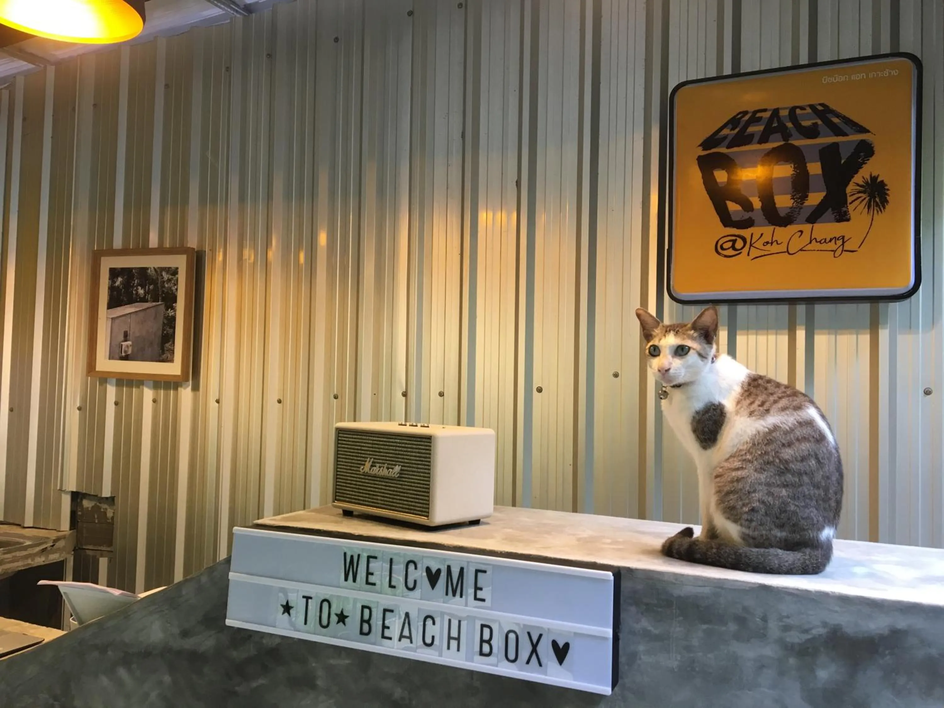 Property logo or sign in BeachBox@Koh Сhang