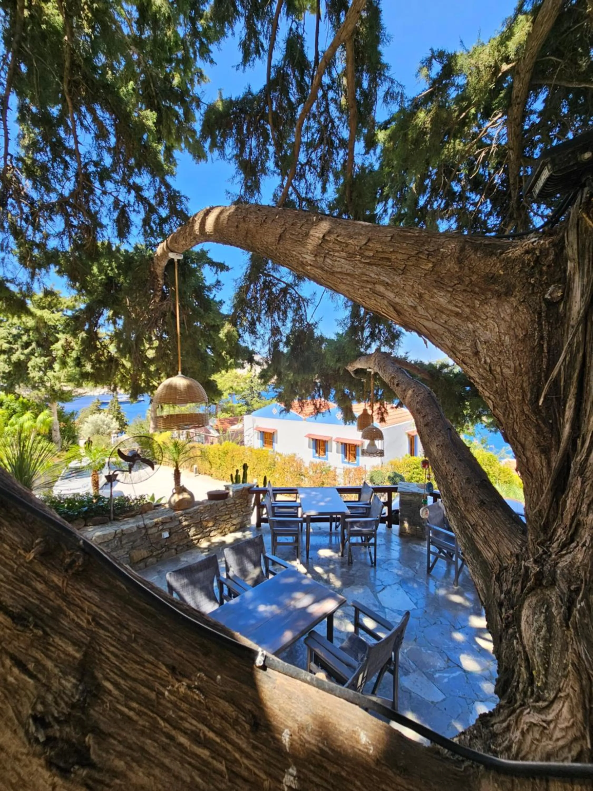 Restaurant/places to eat in Niriides Hotel Apartments