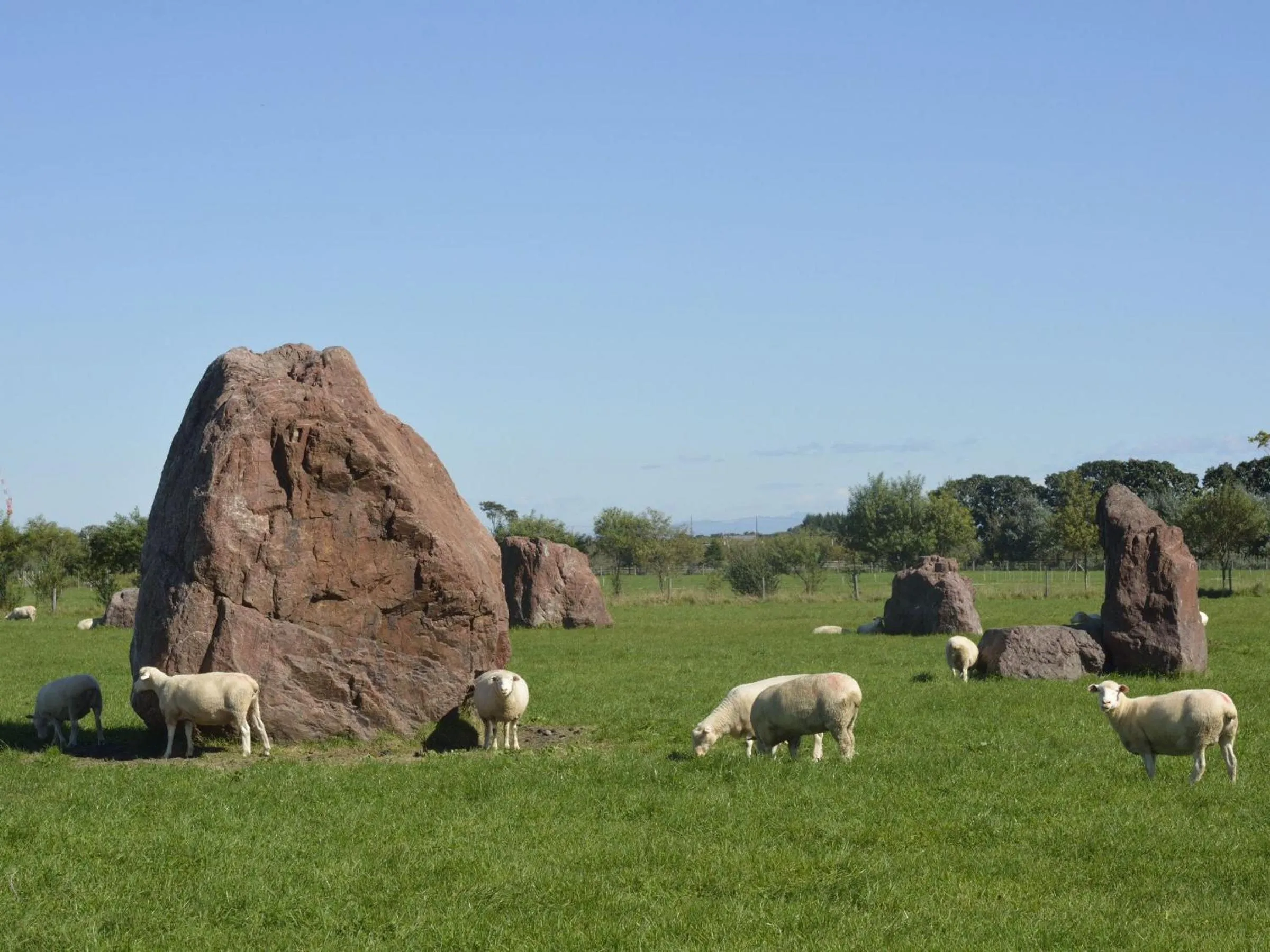 Other in APA Hotel Sapporo Susukino Ekinishi