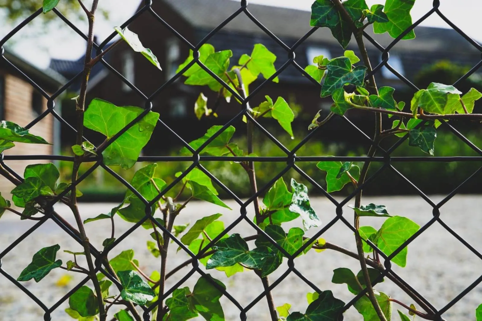 Property building in Hostellerie Horst