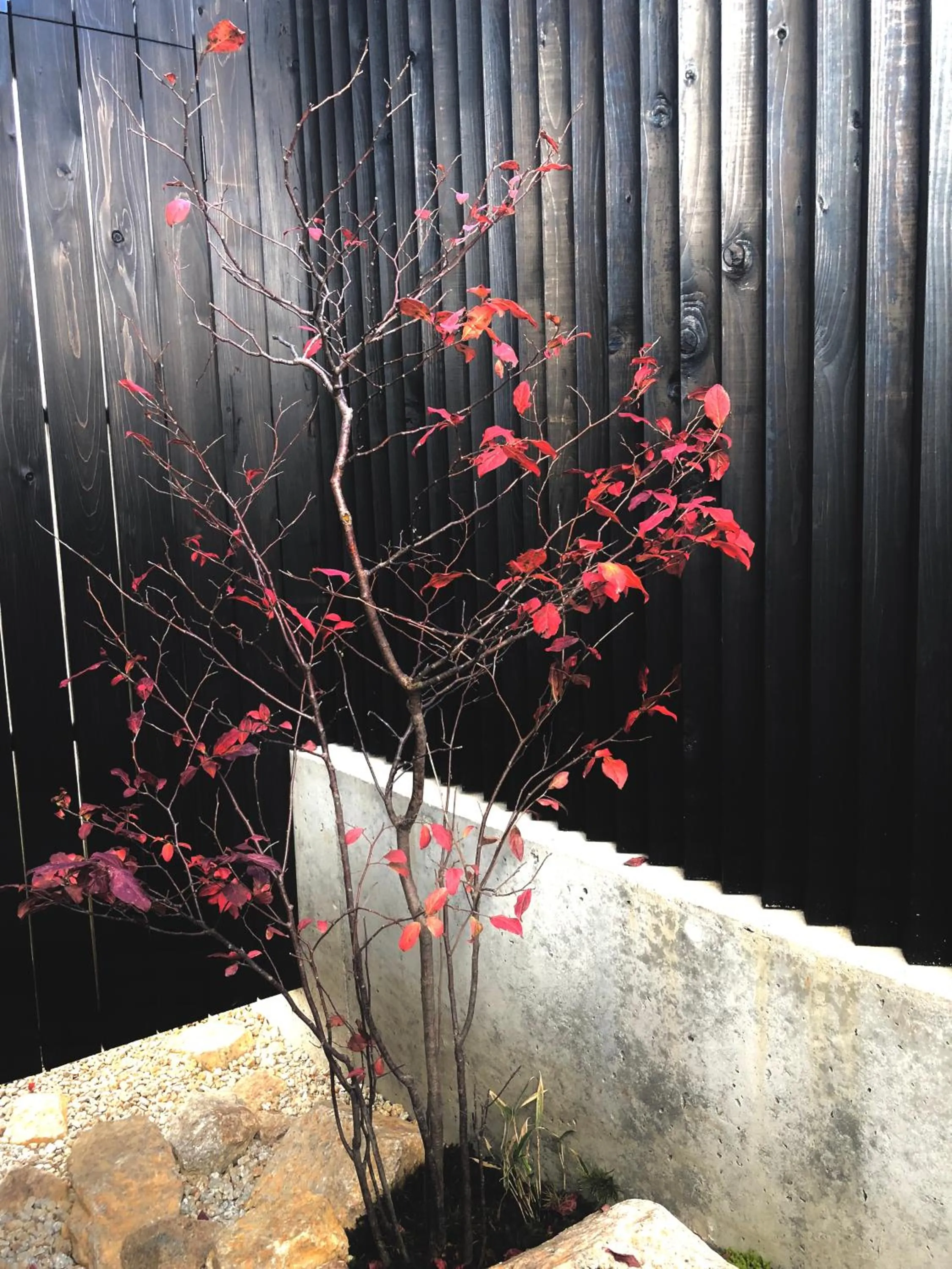 Garden in Komatsu Residences