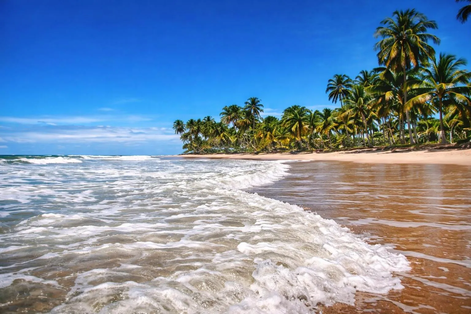 Pousada Espaço do Sagui - Taipu de Fora