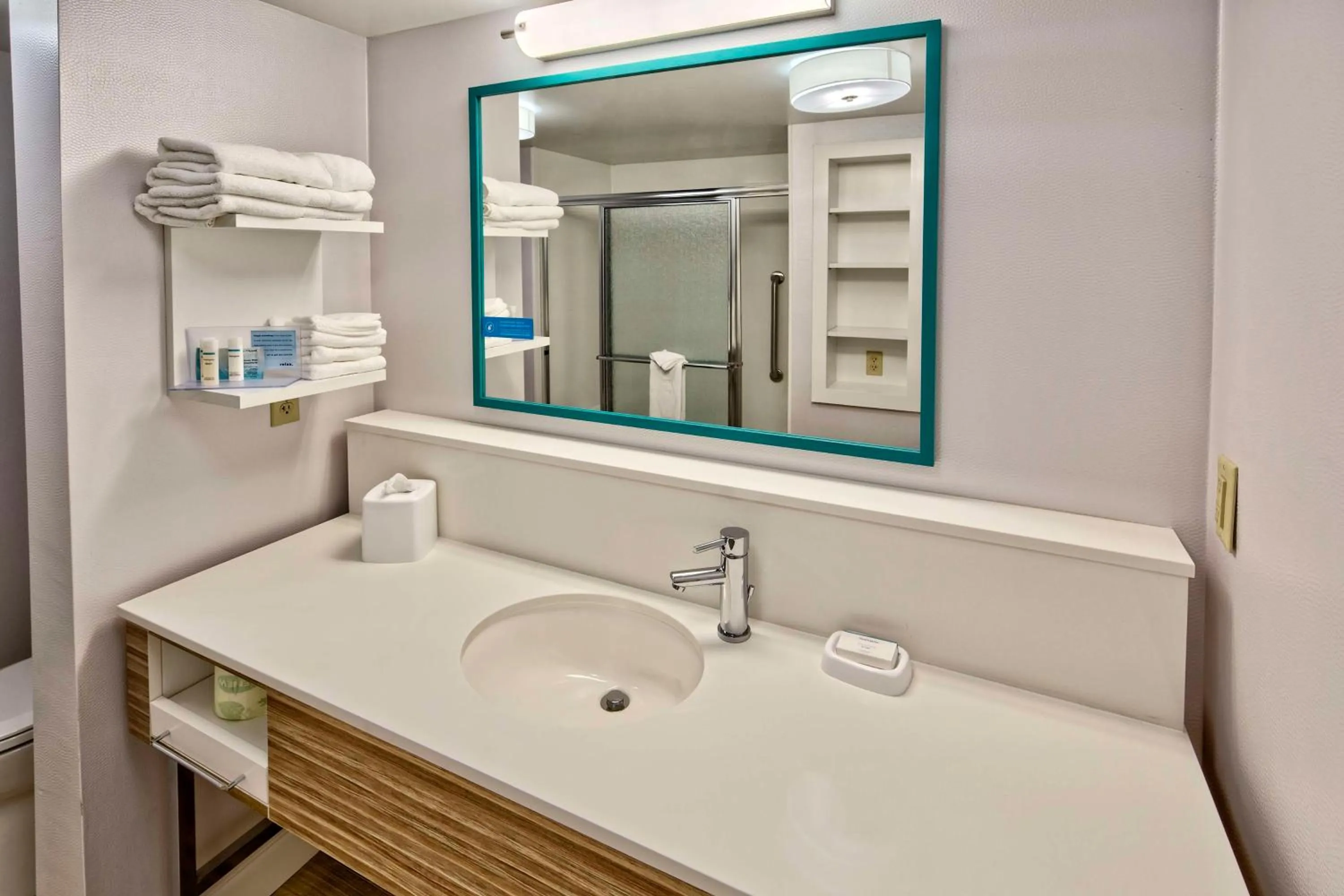 Bathroom in Hampton Inn & Suites Fort Myers Estero