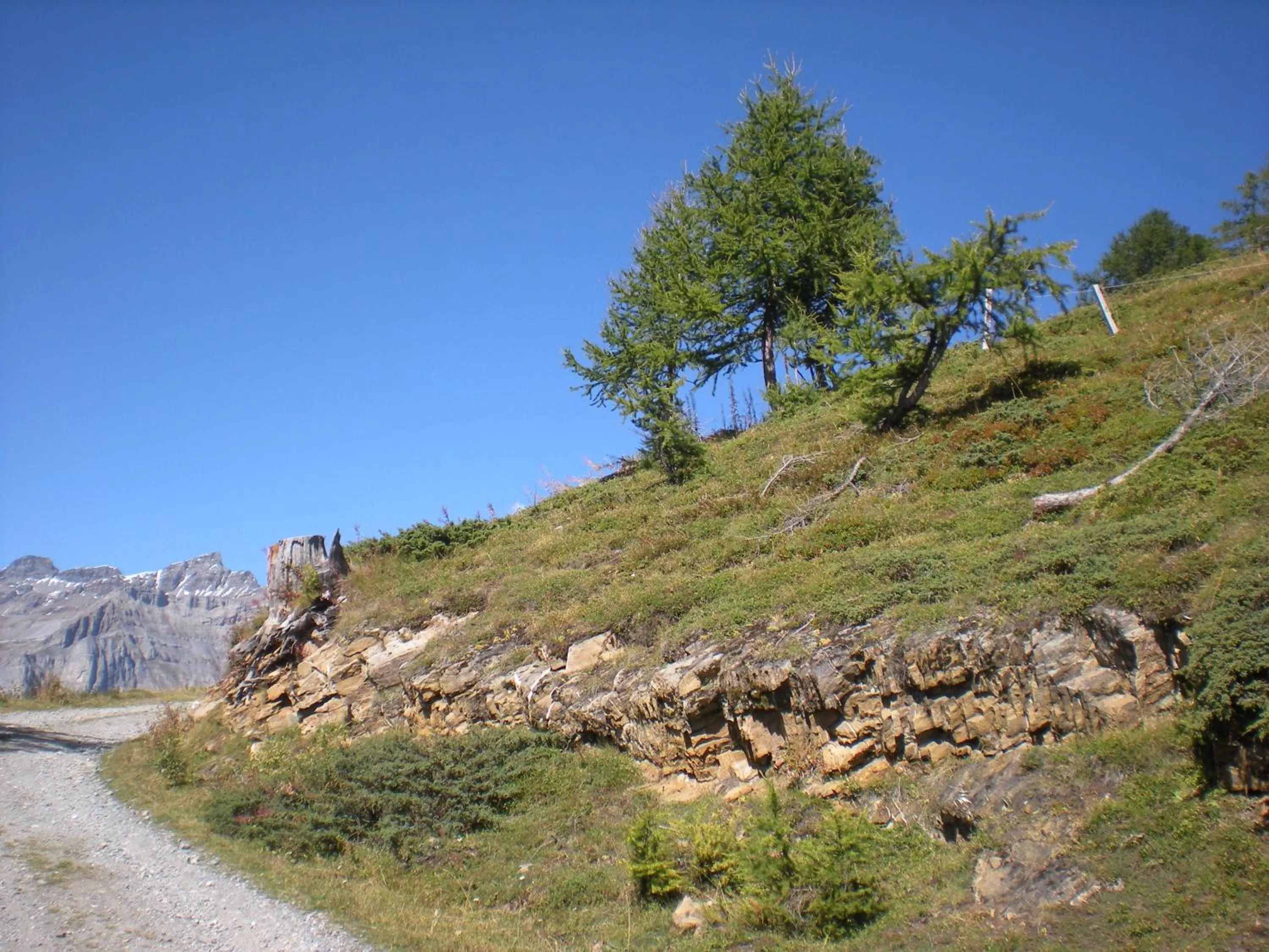 Appartementhaus La Promenade