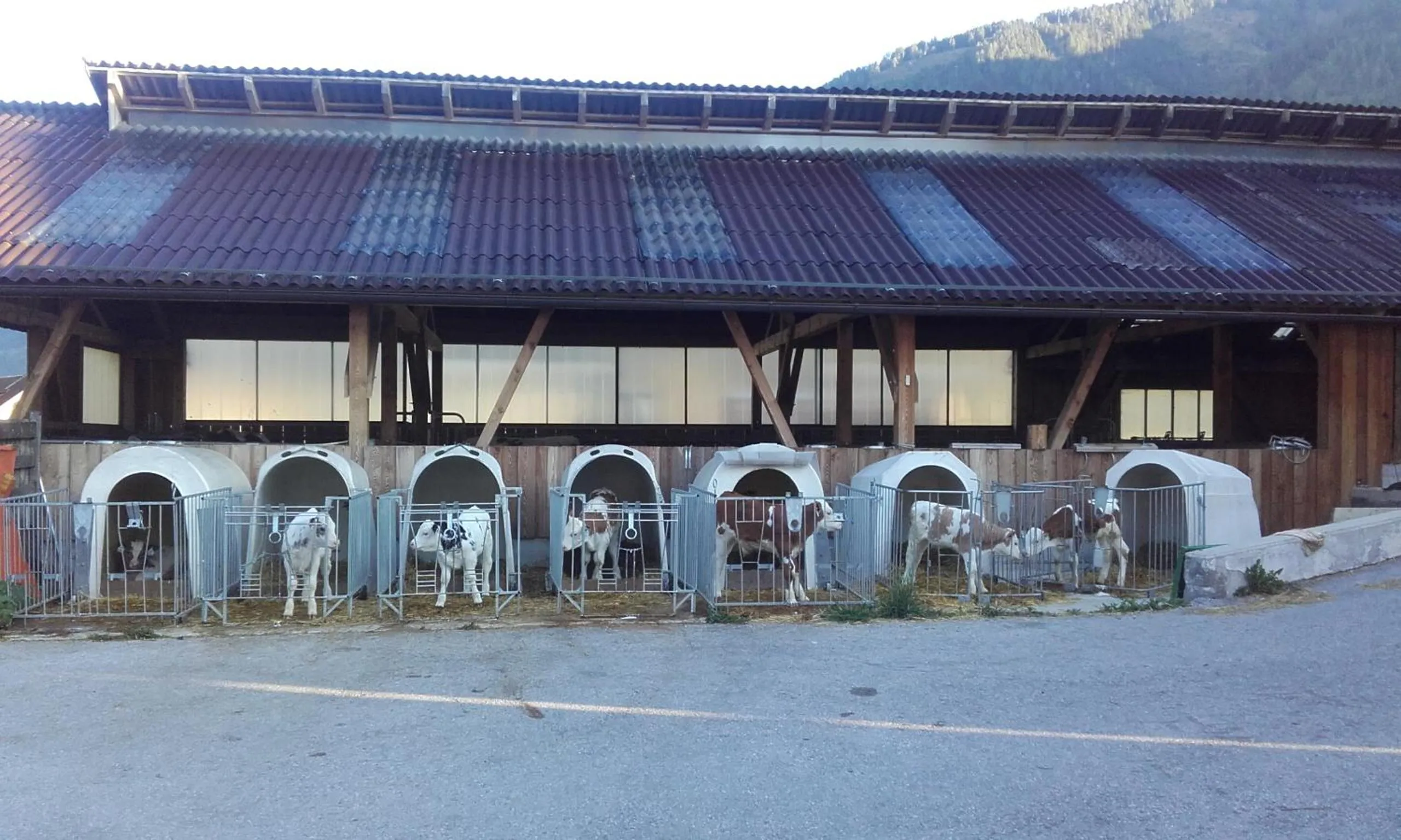 Ferienhaus Reinfrank