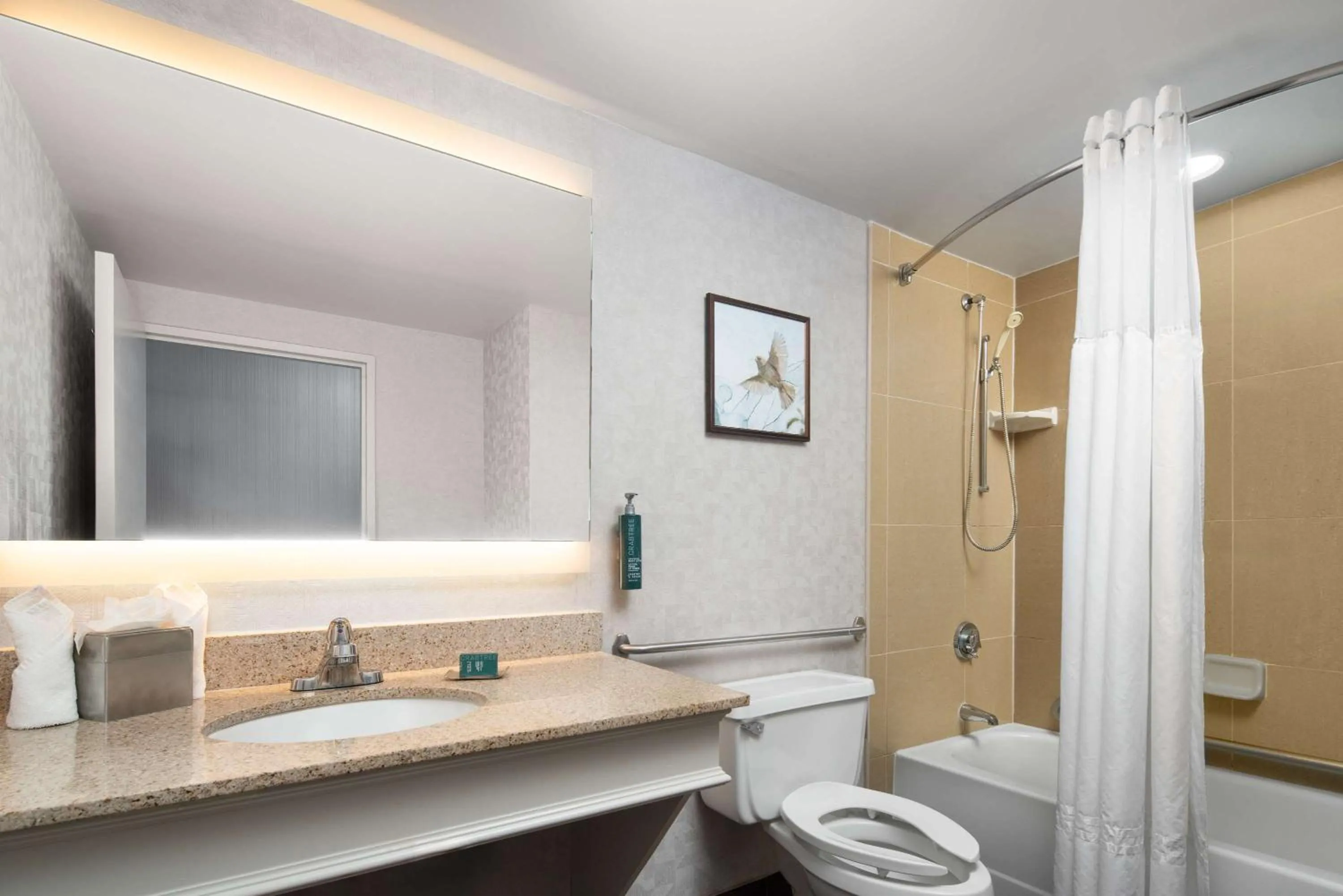 Bathroom in DoubleTree by Hilton Bradley International Airport