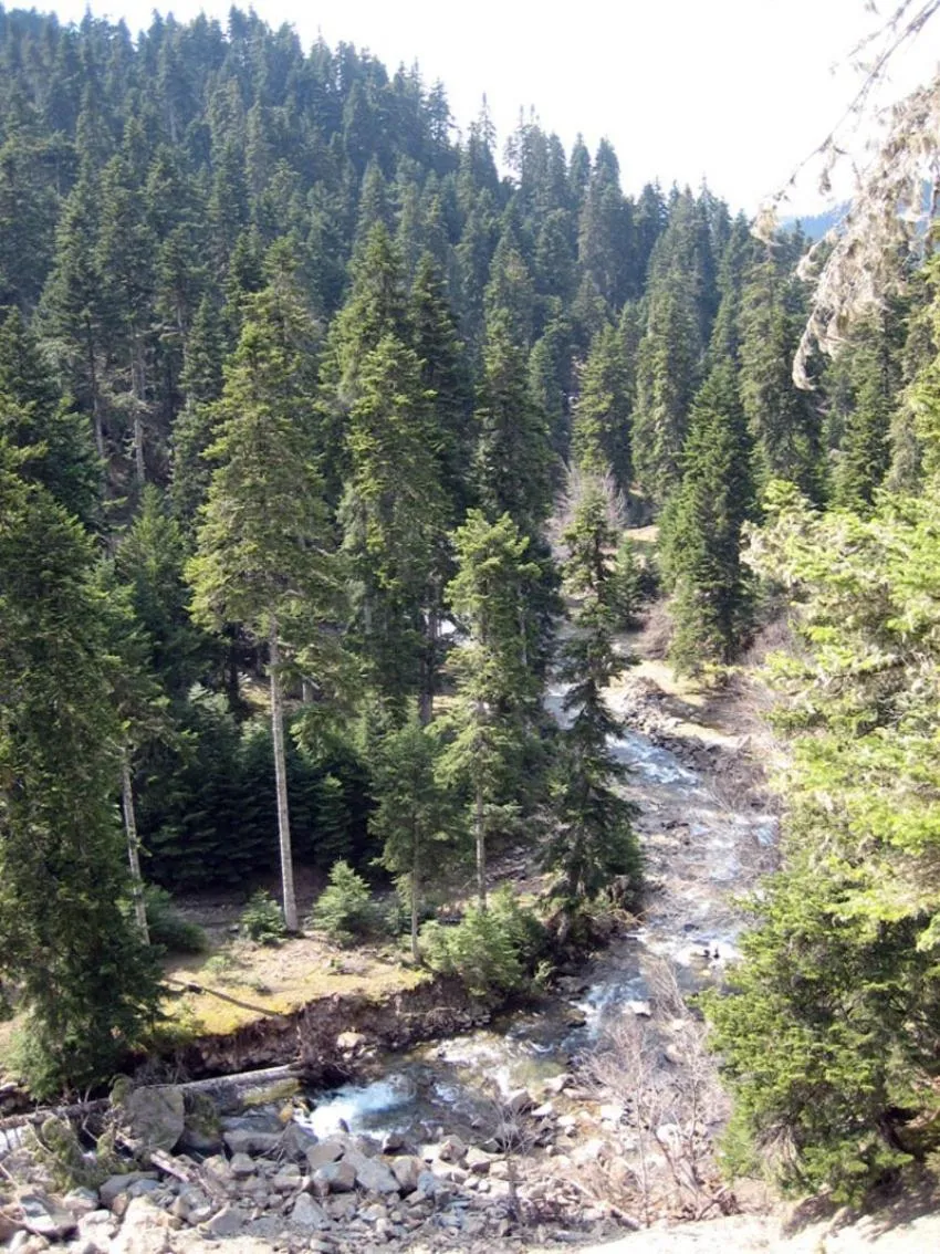 Archontiko Christodoulou