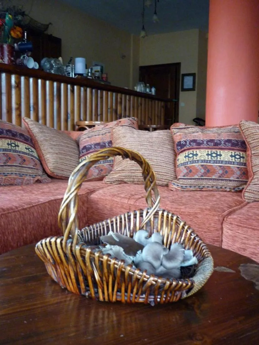 Archontiko Christodoulou