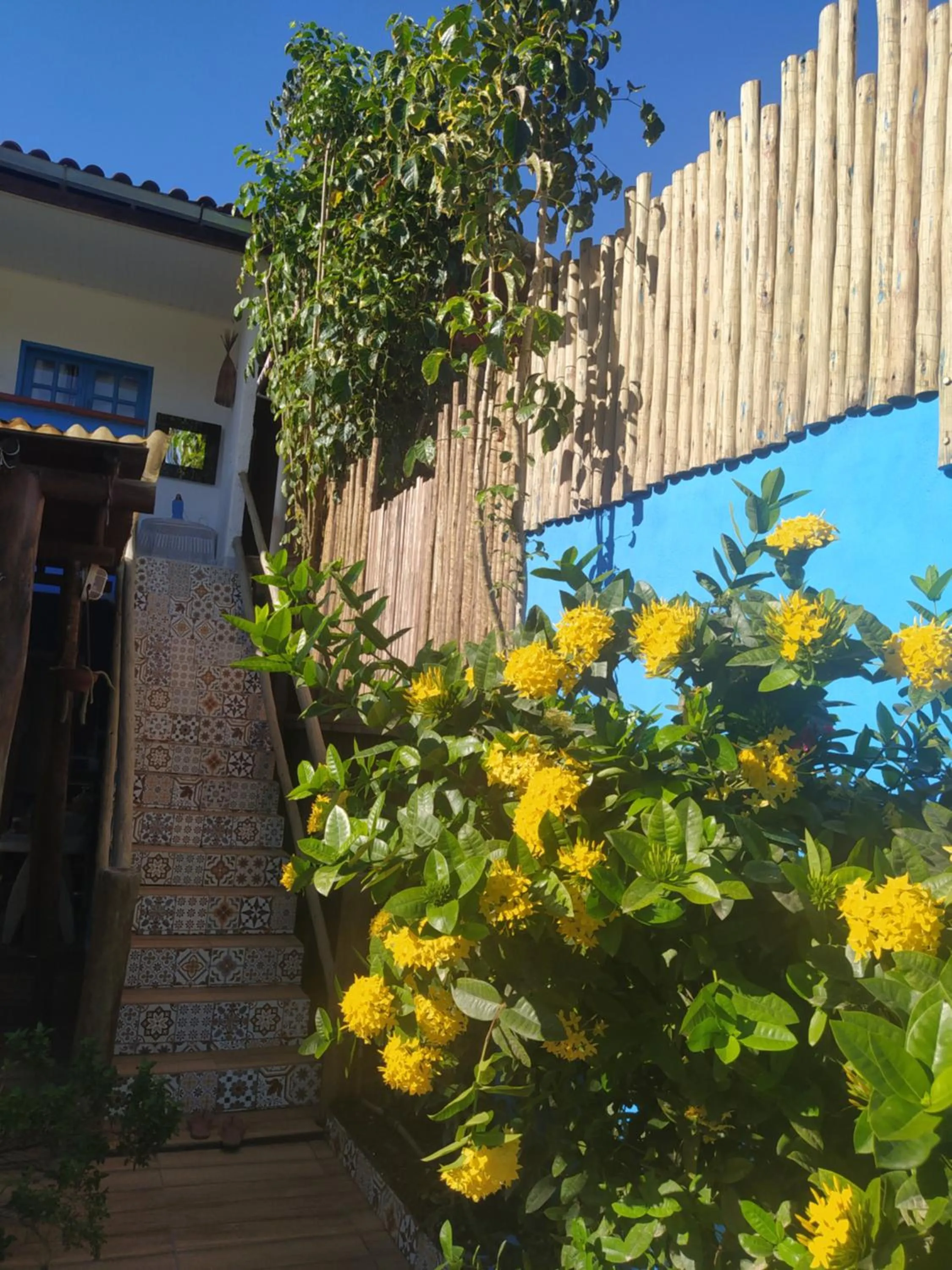 Garden in Rio Bahia Pousada