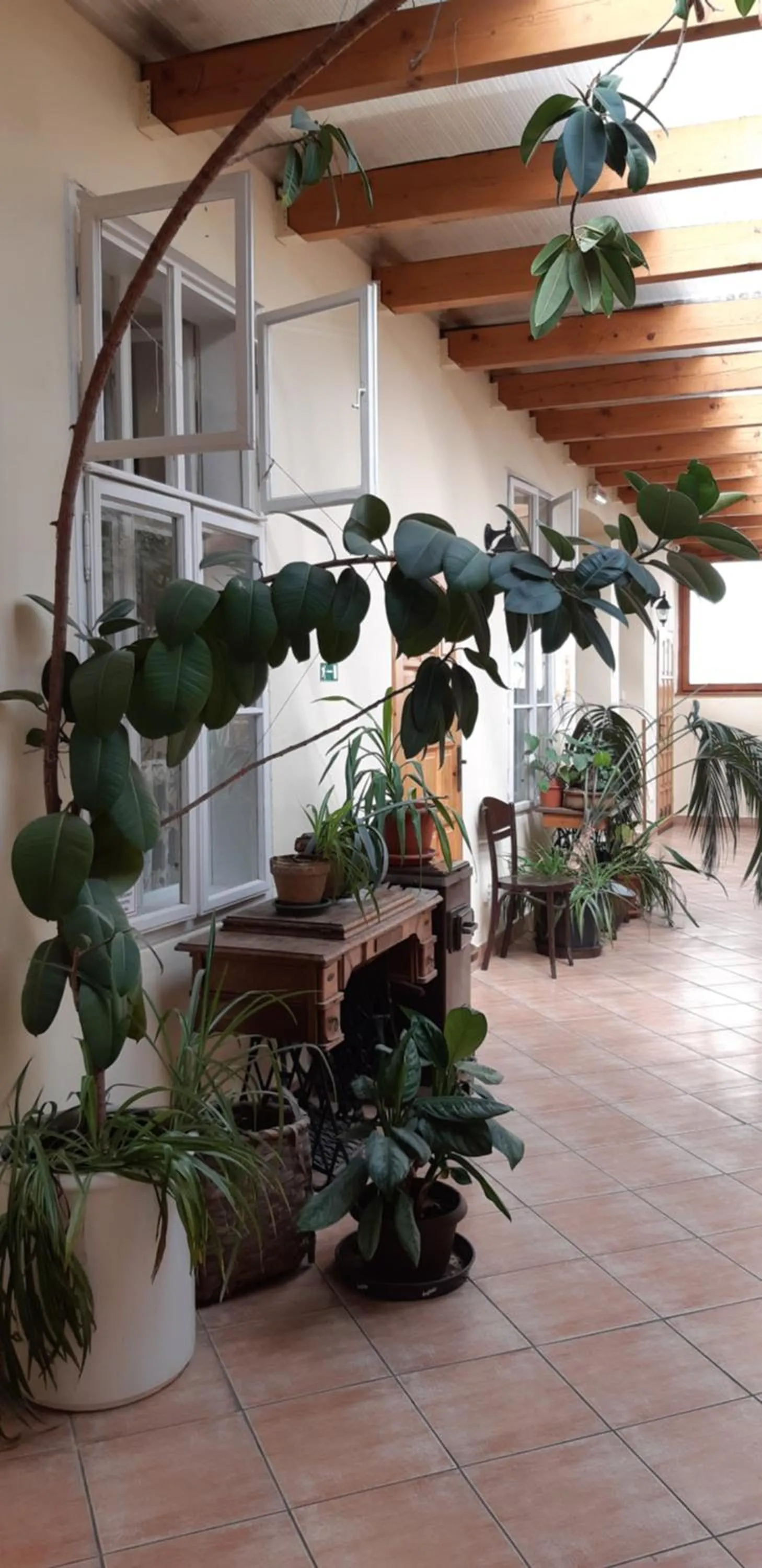 Victoria - Penzion & Restaurant
