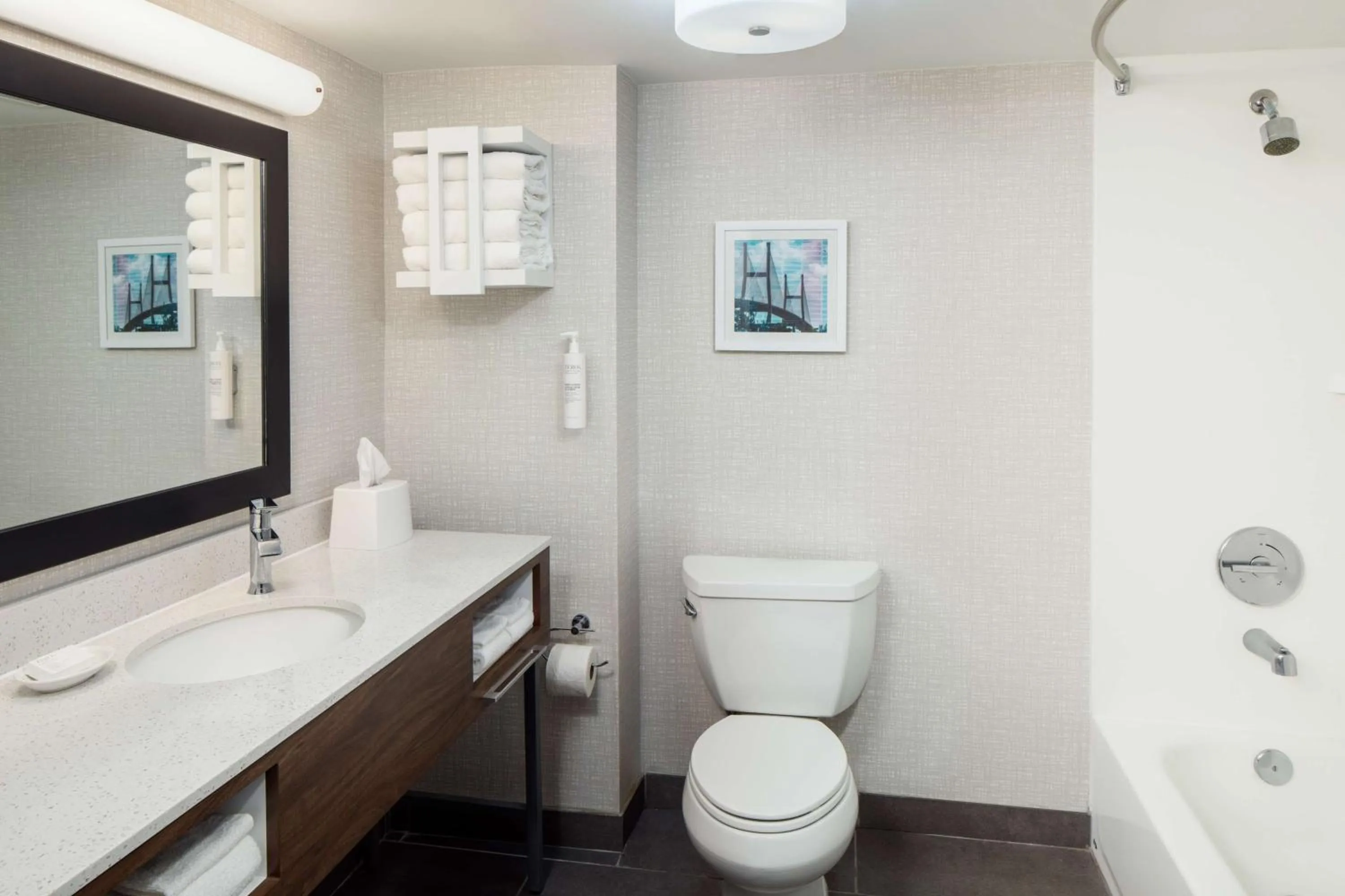 Bathroom in Hampton Inn & Suites Savannah - I-95 South - Gateway