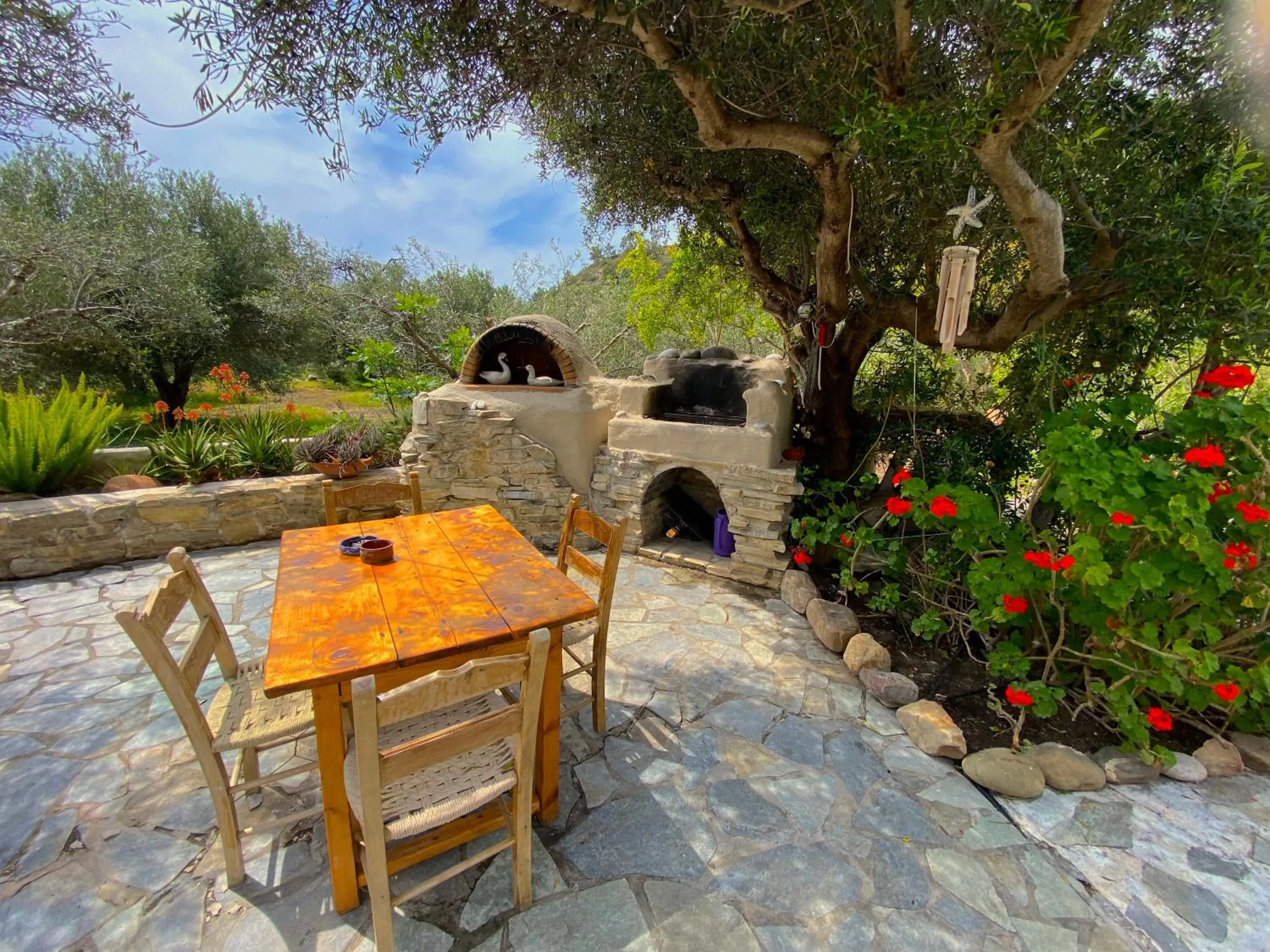 Patio in Natura cottages