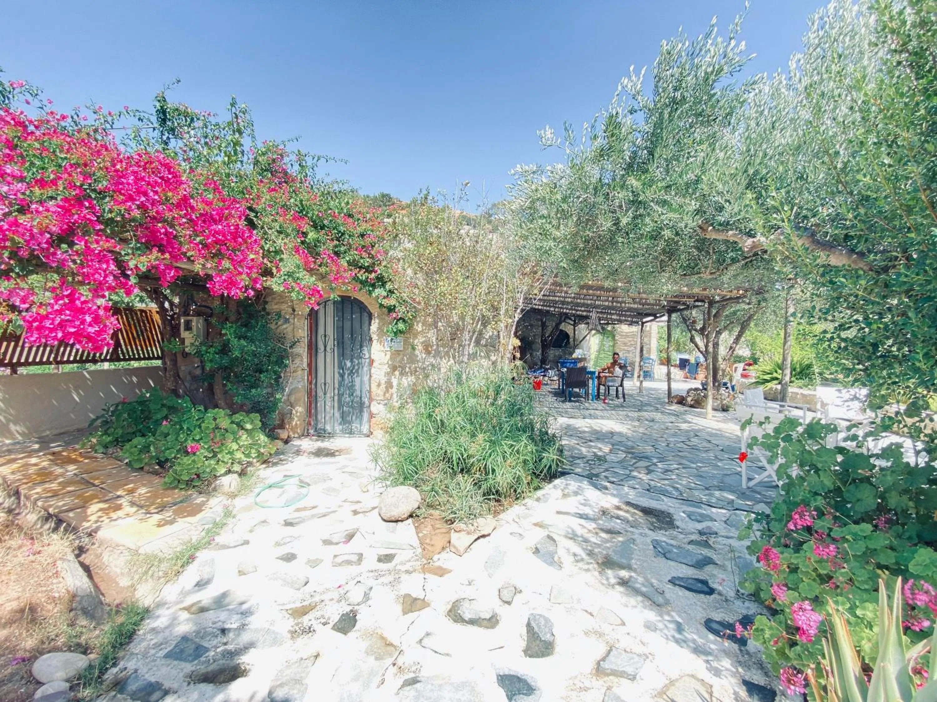 Patio in Natura cottages